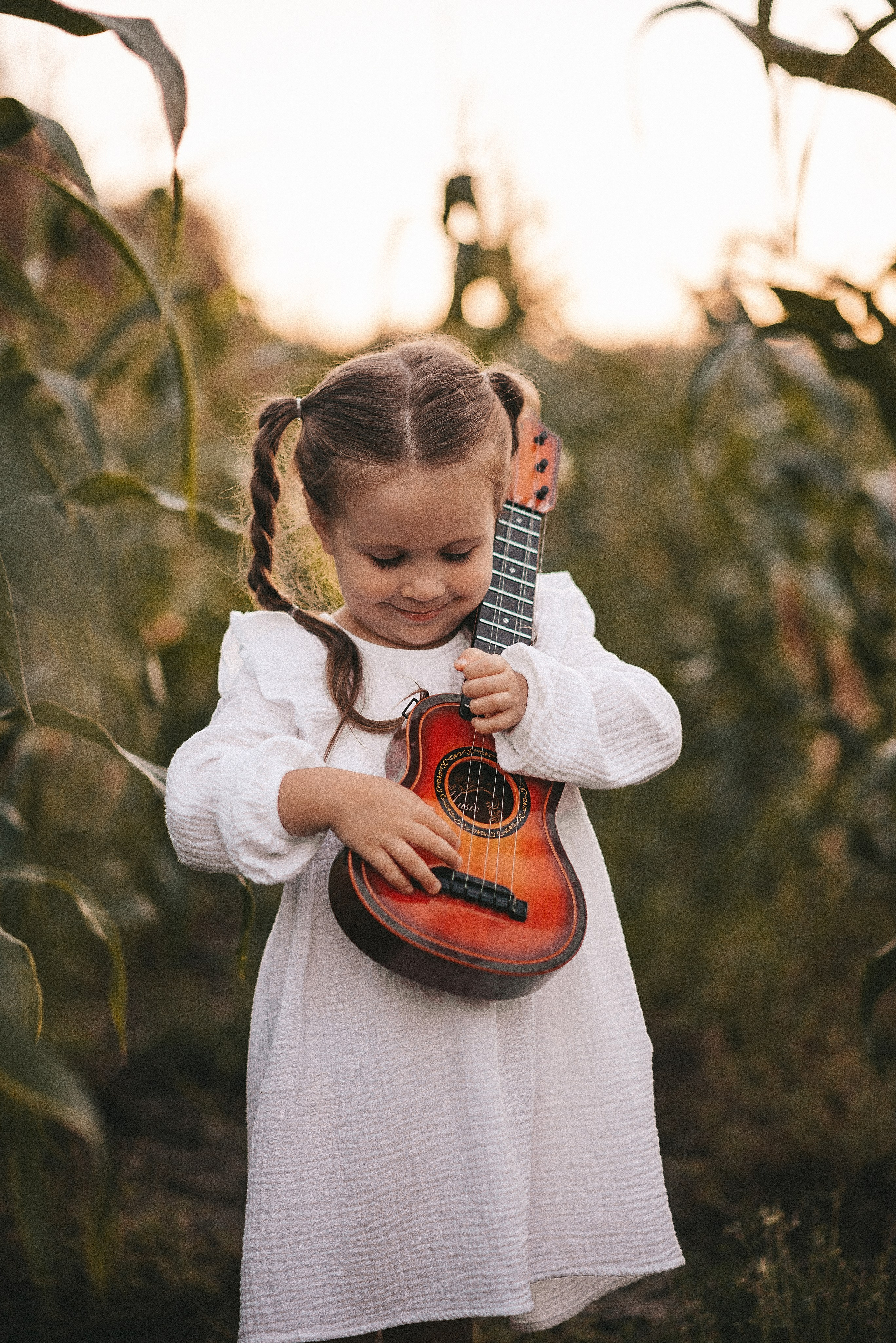 На солнце вдоль рядов кукурузы…. Ваш фотограф Ирина Гущанская