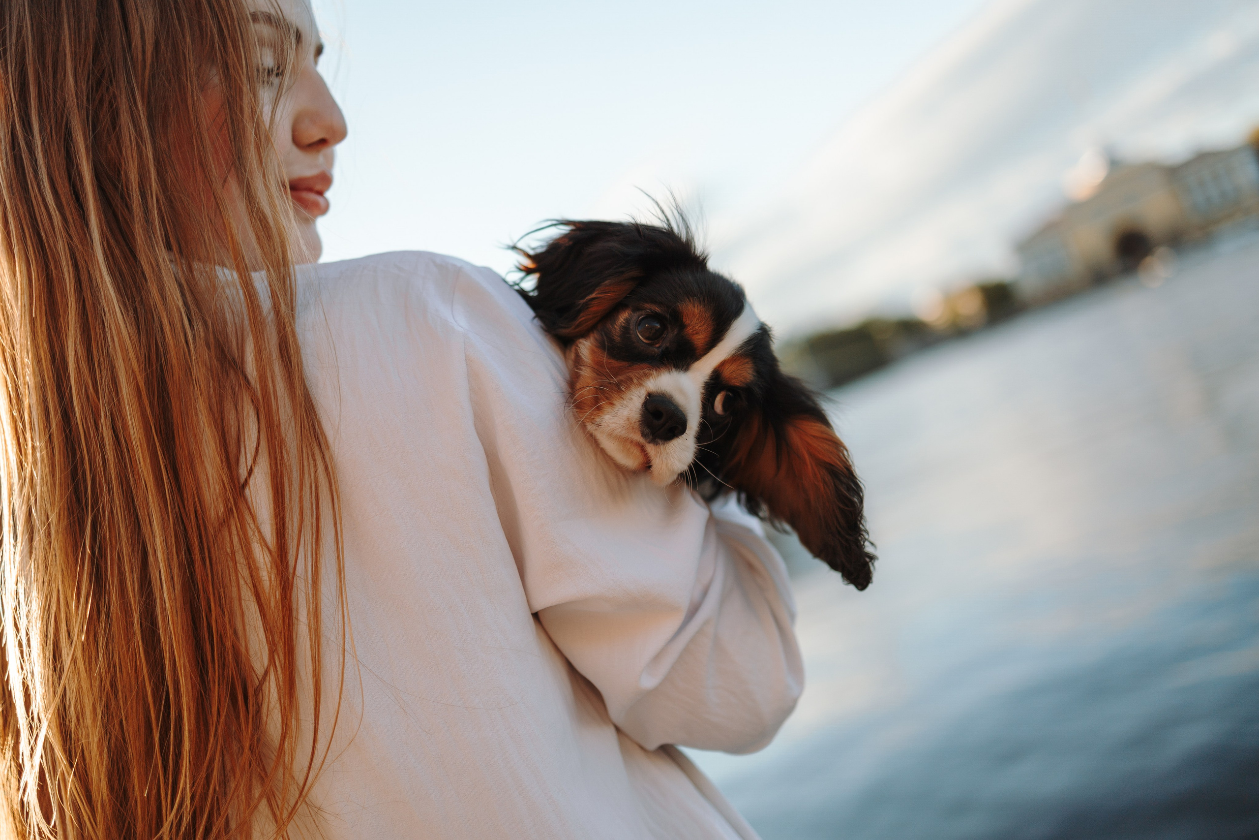 Аня, Стеша и Степан. Фотограф — Анималист | Санкт-Петербург