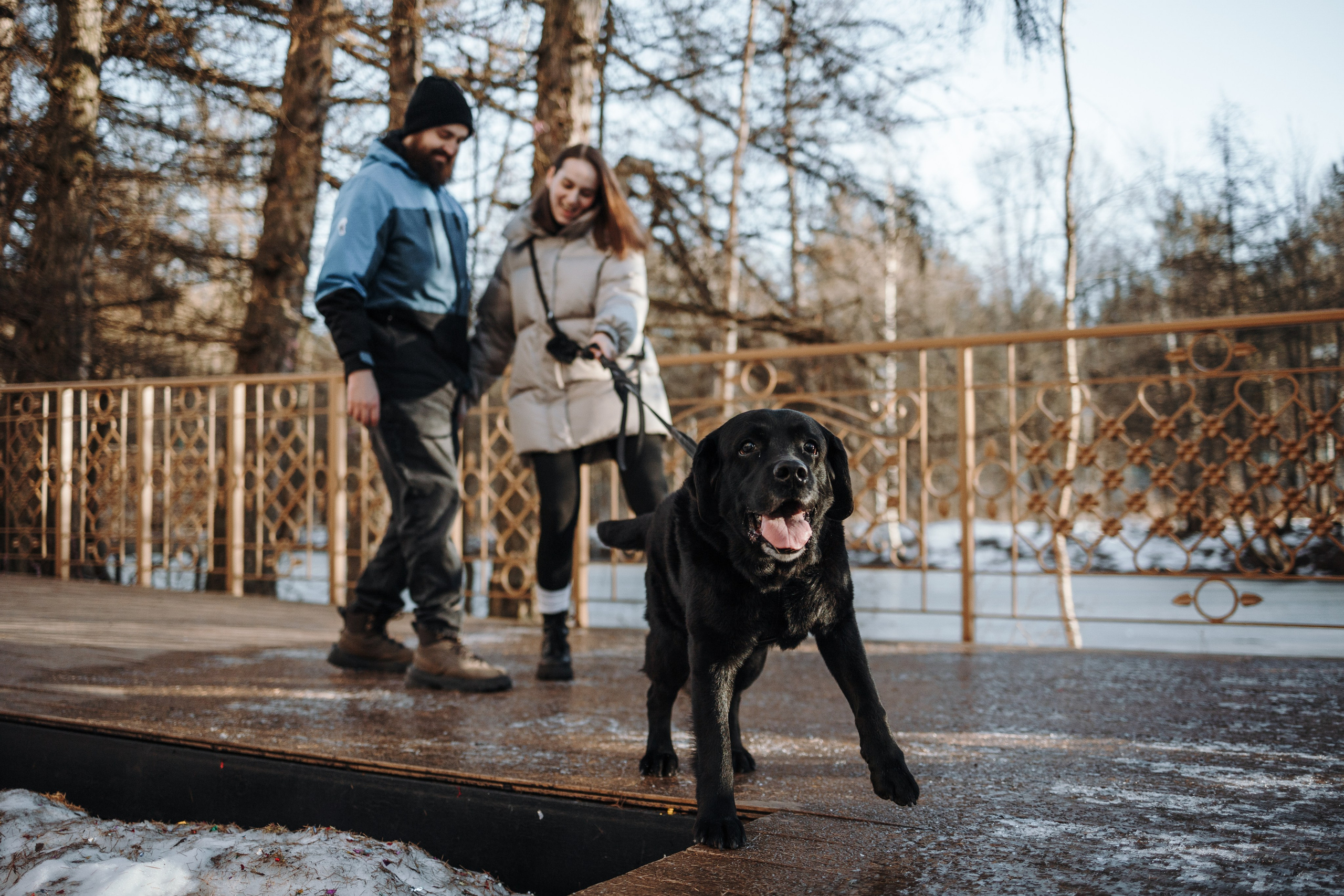 Таня и ее семья. Фотограф — Анималист | Санкт-Петербург