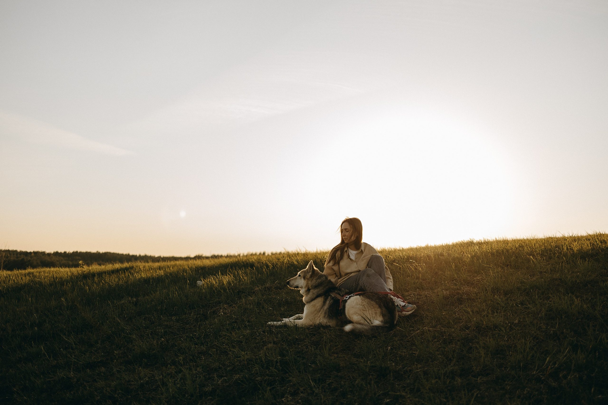 Саша и Зельда. Фотограф — Анималист | Санкт-Петербург
