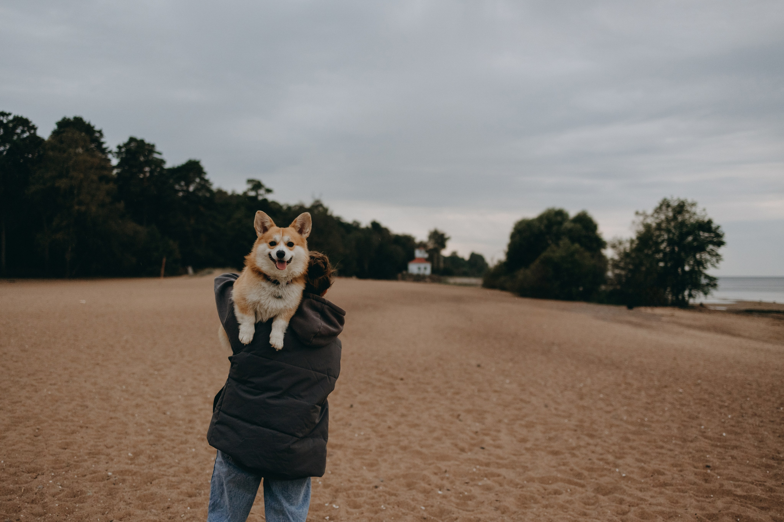 Лиза и Бакс. Фотограф — Анималист | Санкт-Петербург