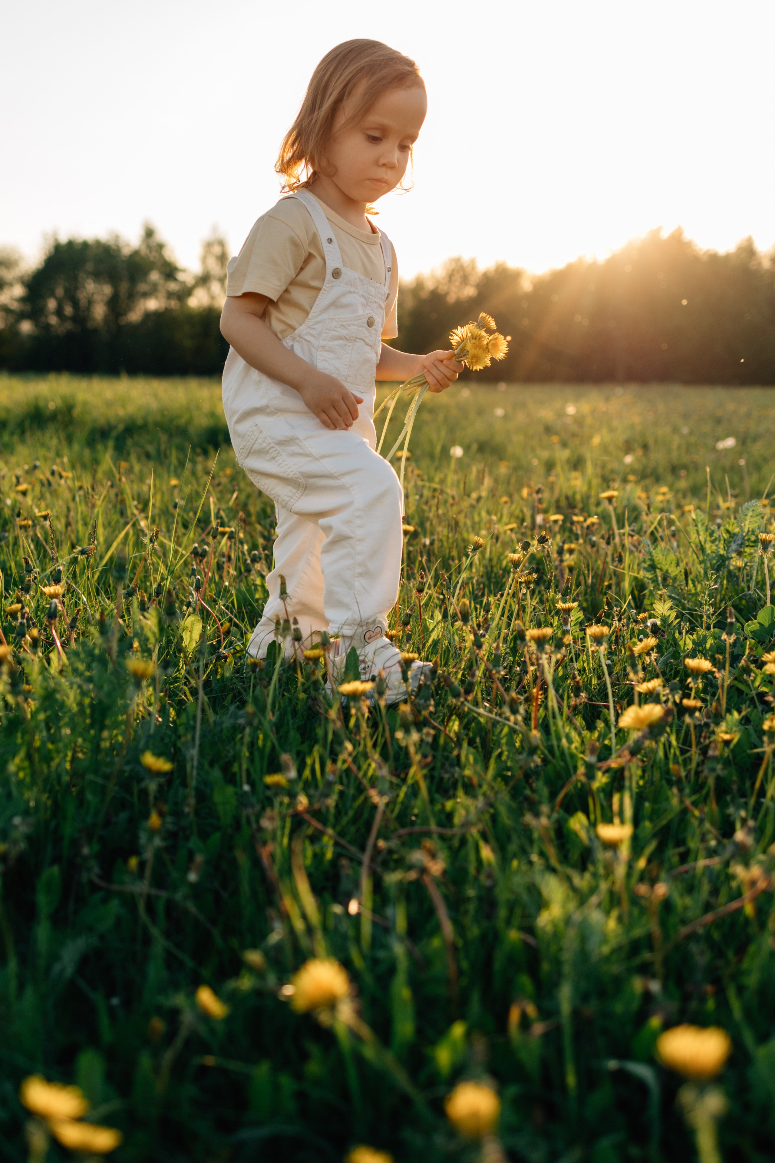 Солнечные львята. Фотограф Москва Светлана Кирюшина