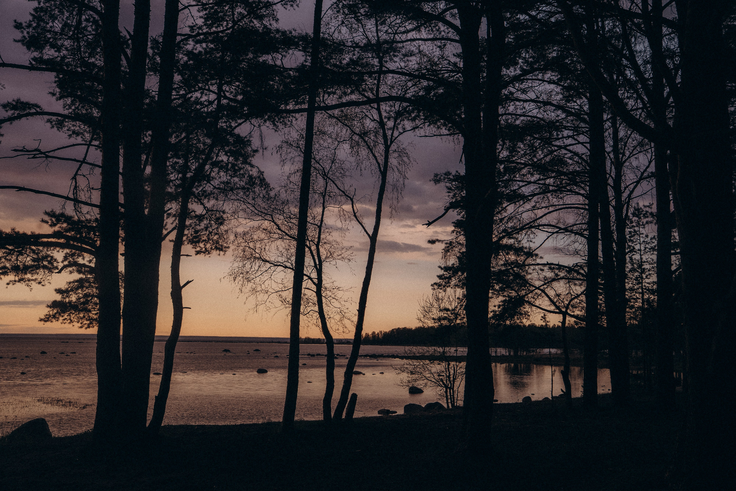 Катя и Берта. Фотограф анималист в Москве и Санкт-Петербурге Свиридова Анна