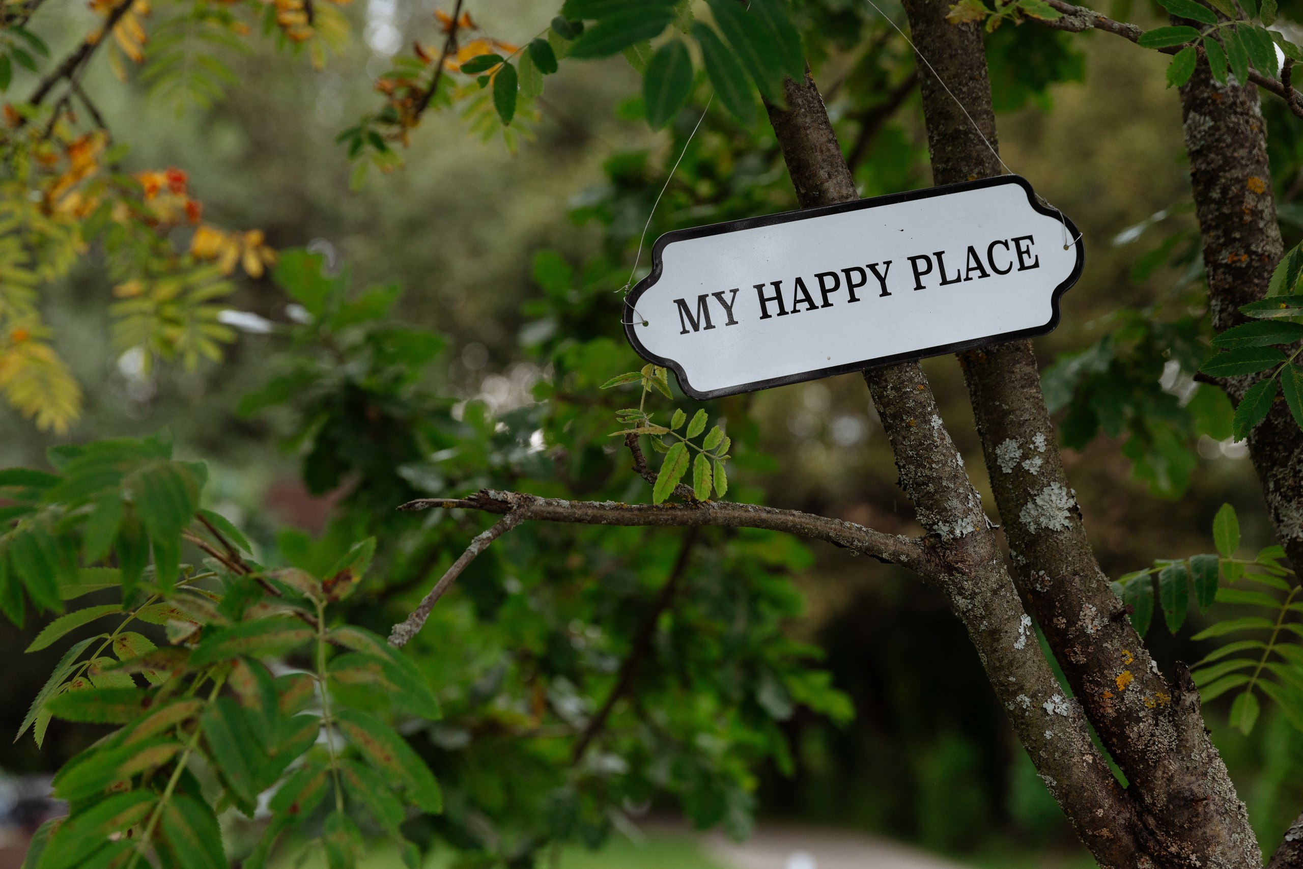 Анонс свадьбы Ксюши и Паши