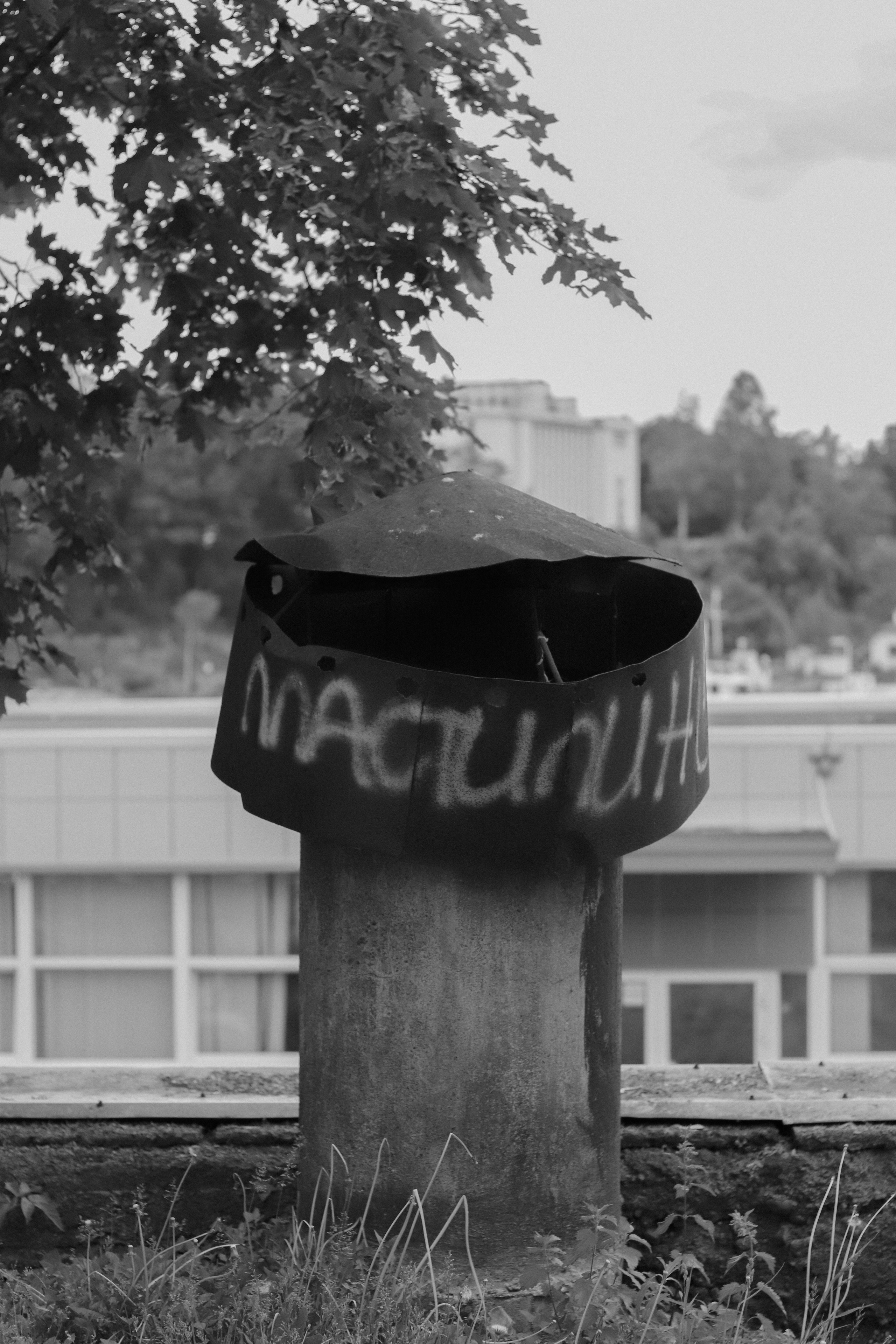 Contour. Фотограф и исследователь фотографии из Санкт-Петербурга Елизавета Веприцкая