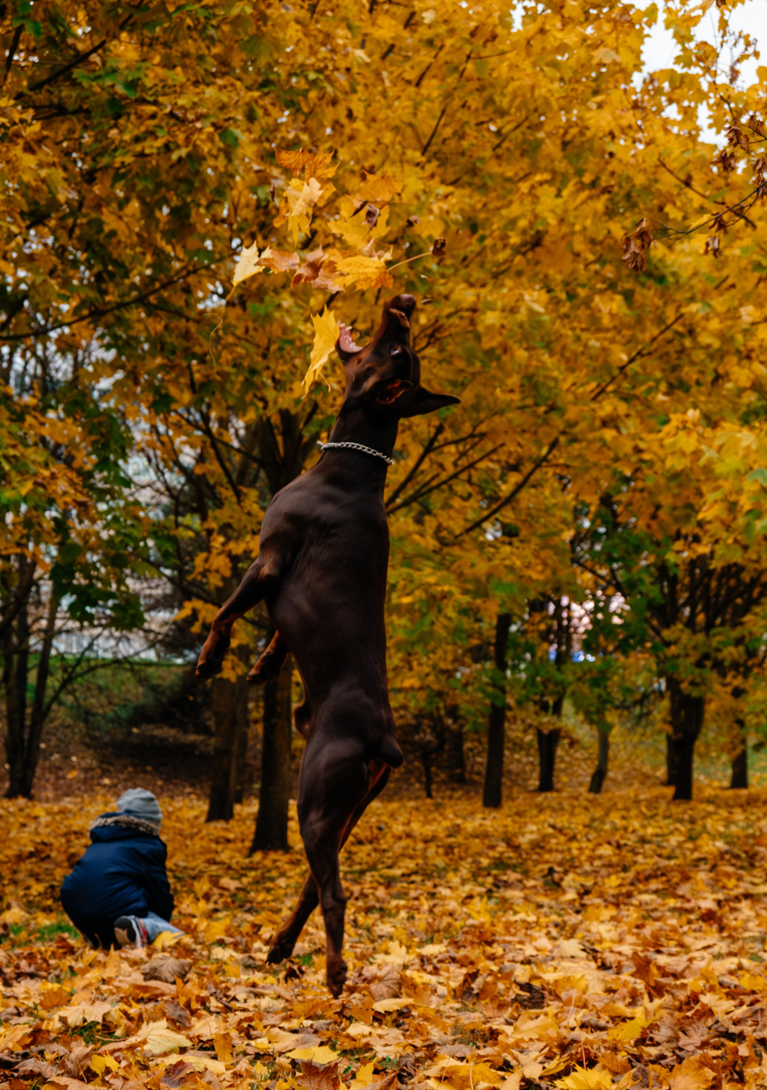 Семья Стенцель. Юлия Чайко, фотограф в Минске