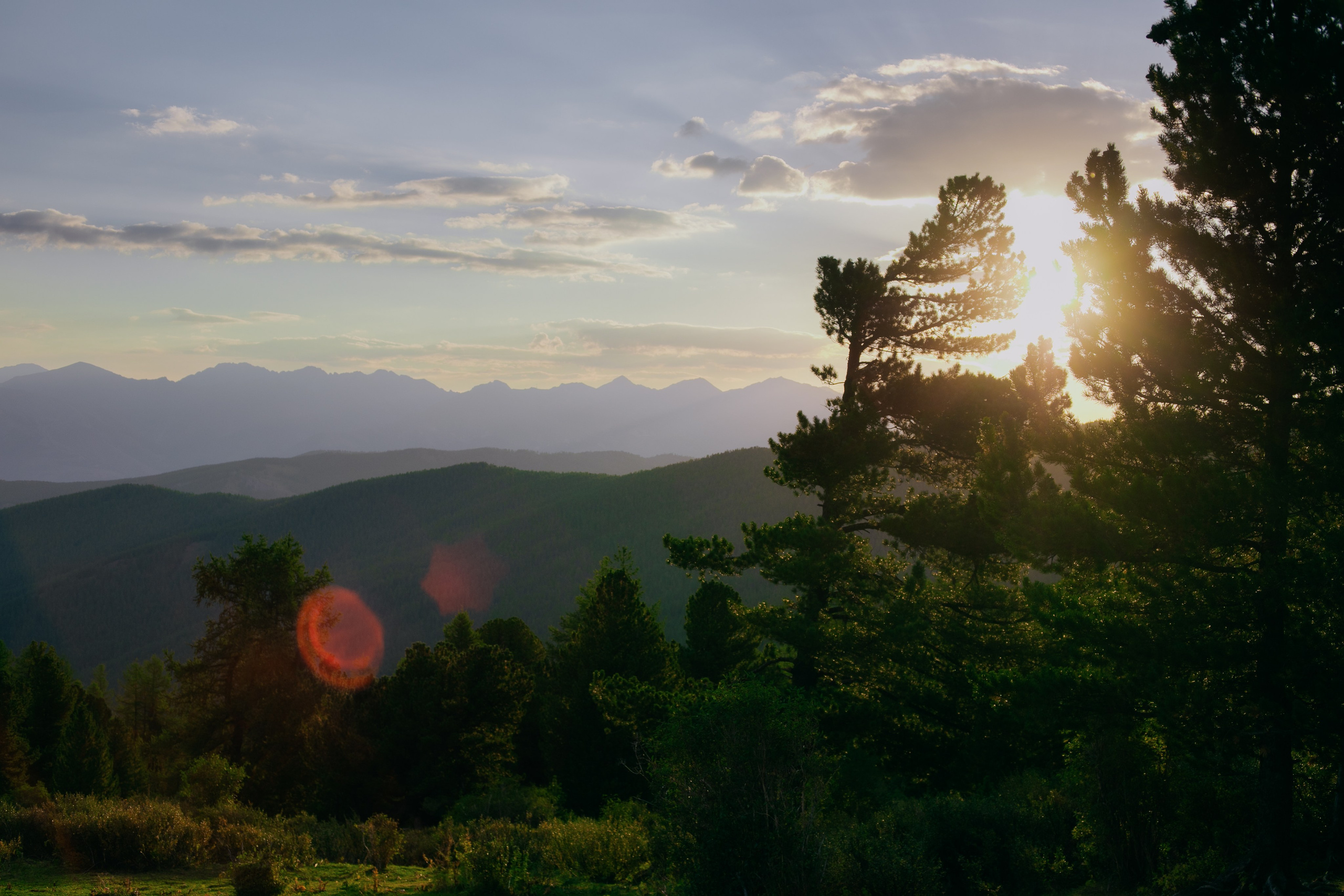 Шавлинские. Главная