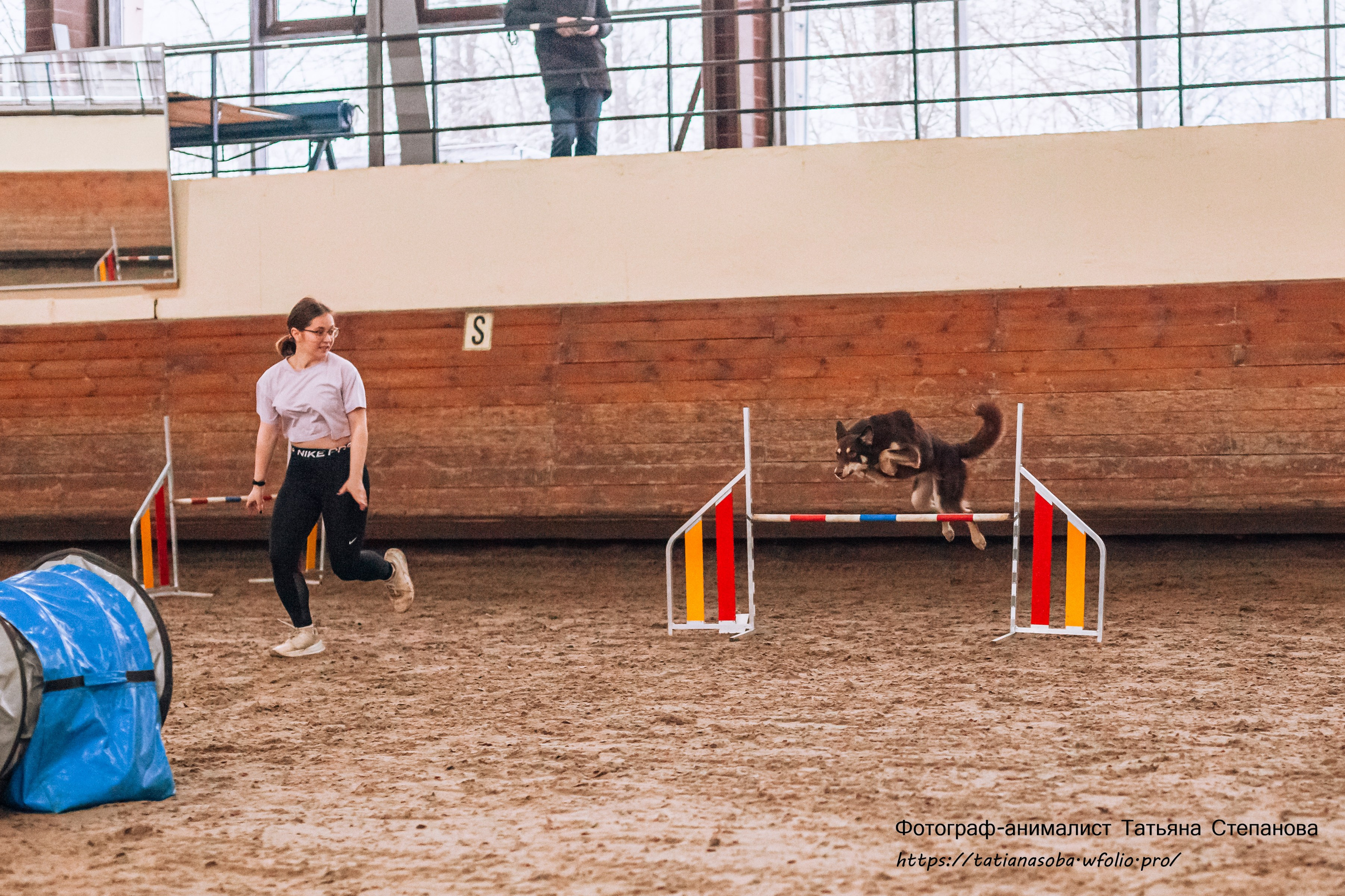 Соревнования по Аджилити 25.02.2024. Фотограф-анималист Татьяна Степанова