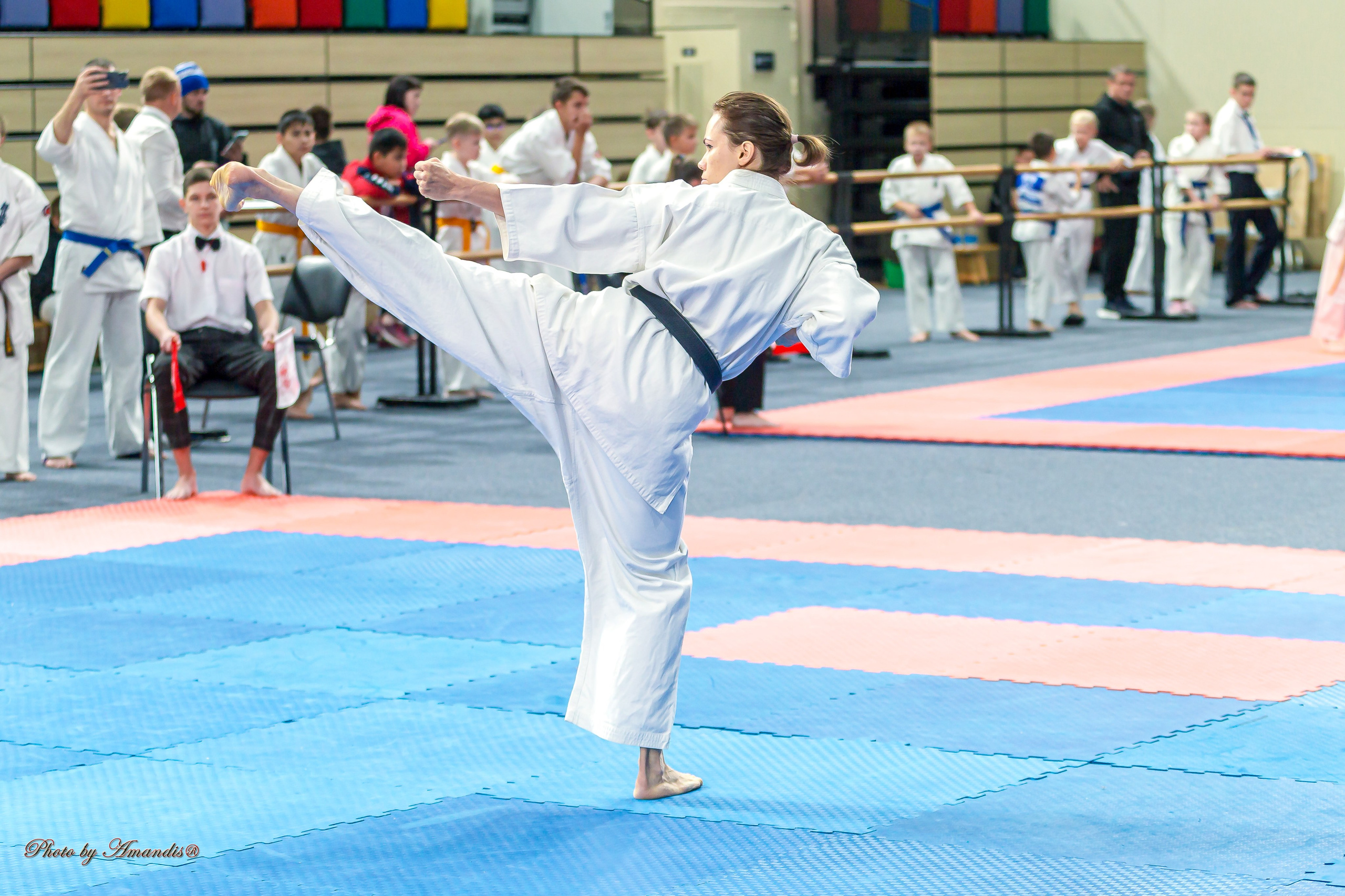 Первенство Московской области по Киокушин в СК «Жаворонки». Репортажная съемка в Москве и области. Анималистика