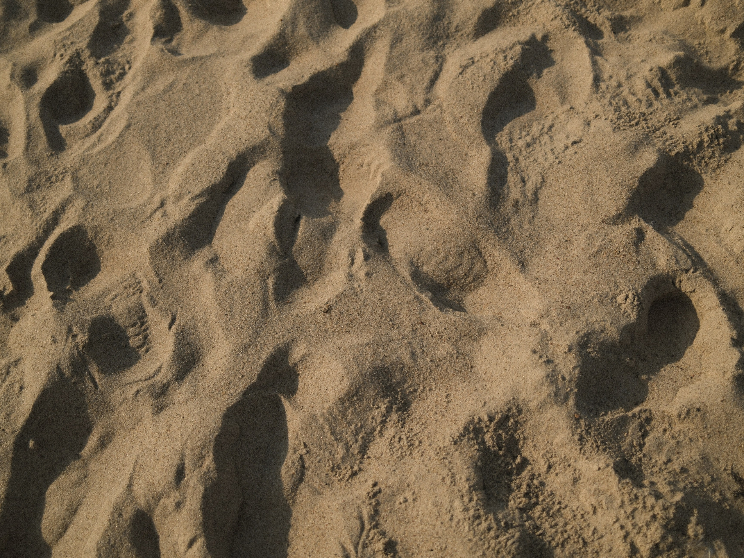 Камерная свадьба на берегу моря. Свадебный фотограф