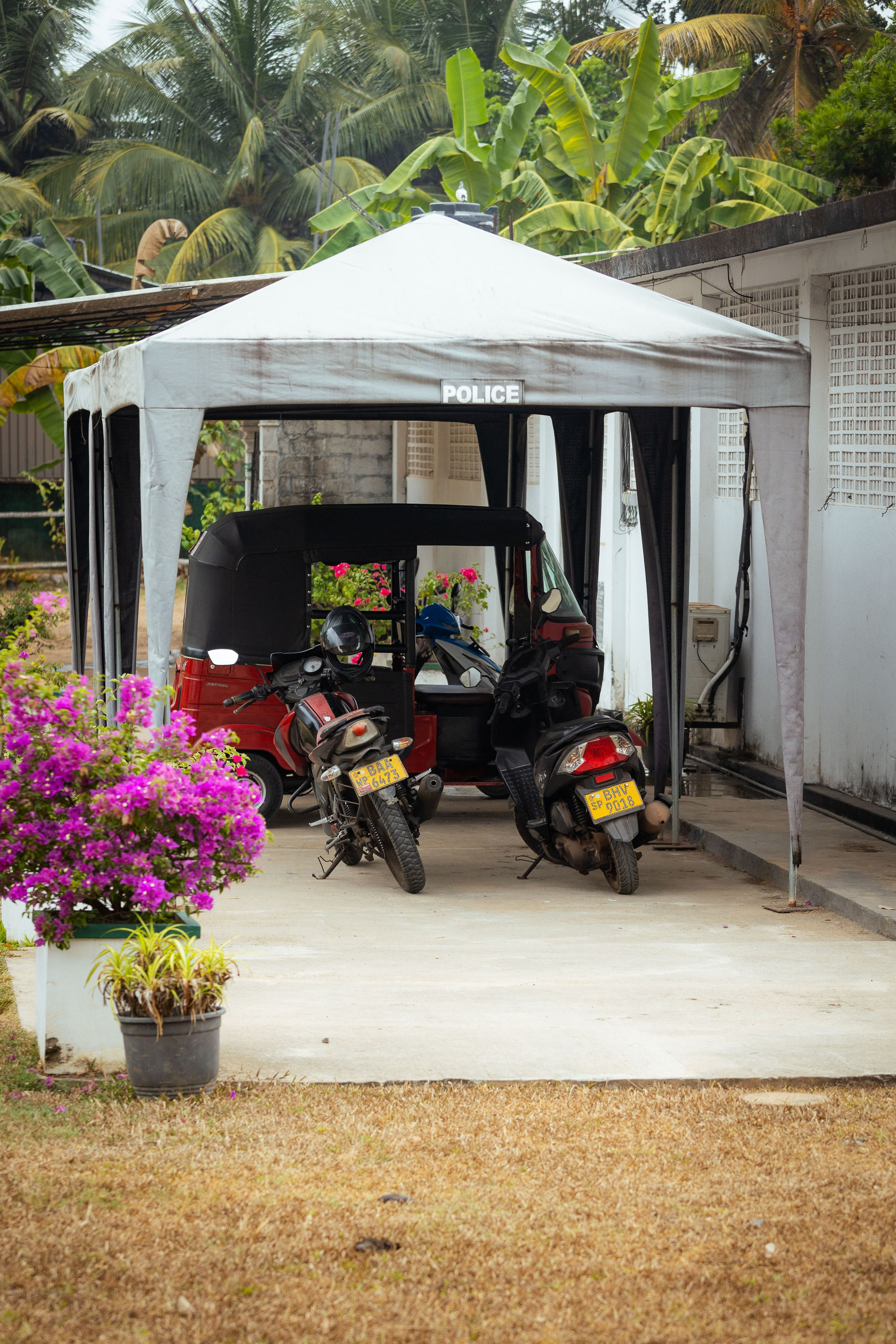 Шри-Ланка (весна 2024). Фотограф Виноградов Константин