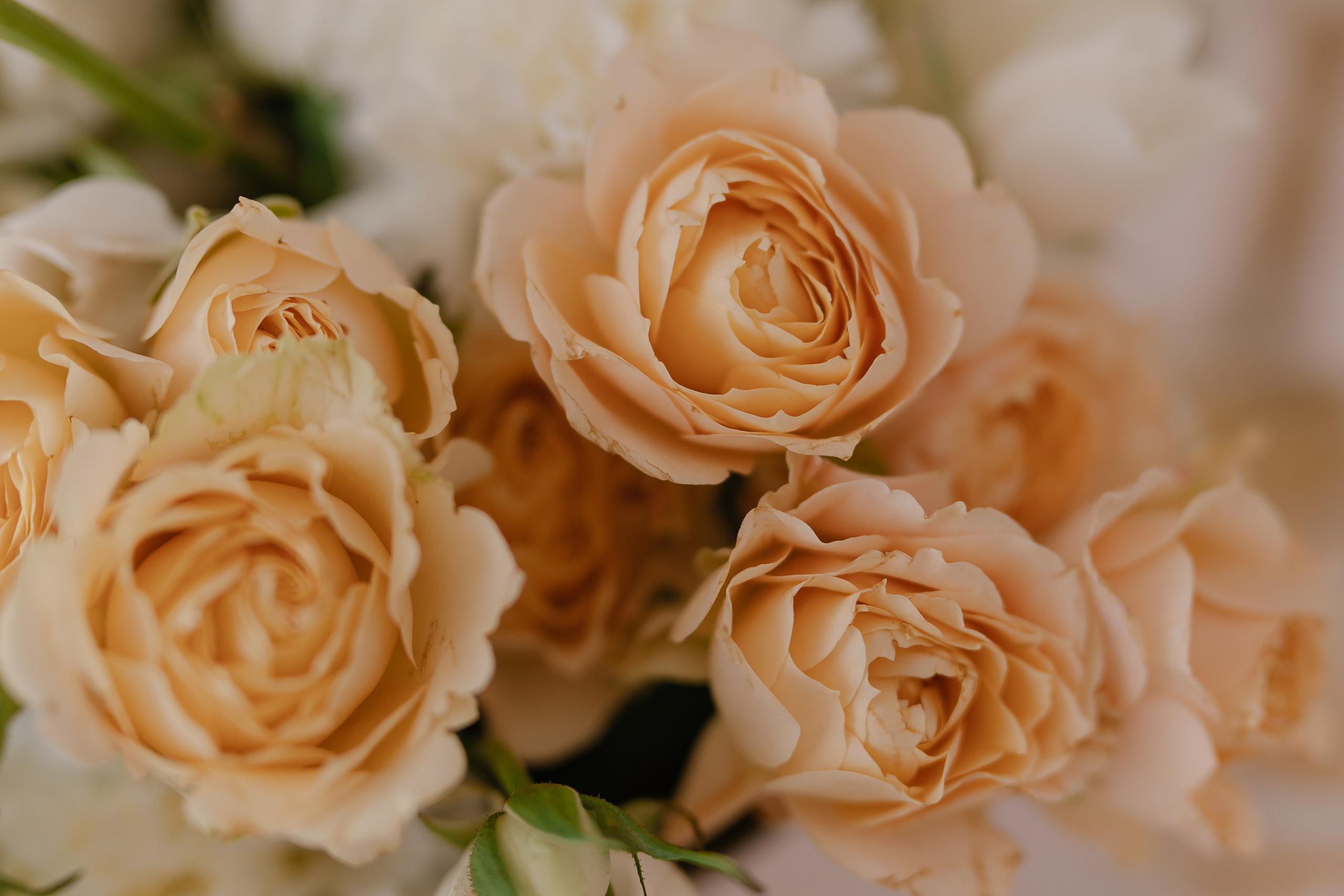 L&L. Свадебный фотограф — Наталья Фед СПб/Москва