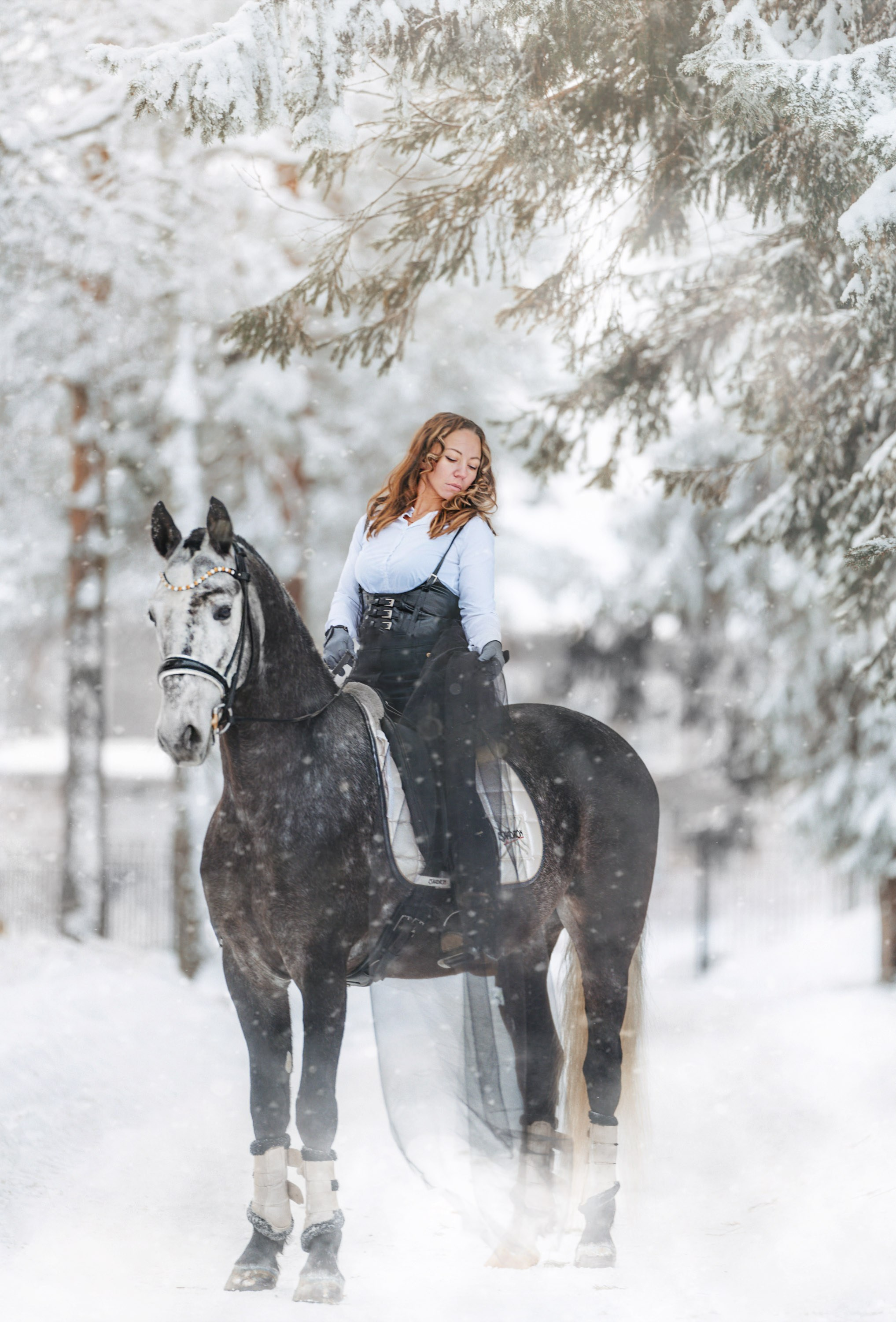 Аренда лошадей для фотосессии в Петрозаводске. Фотограф Варвара Ермоленко