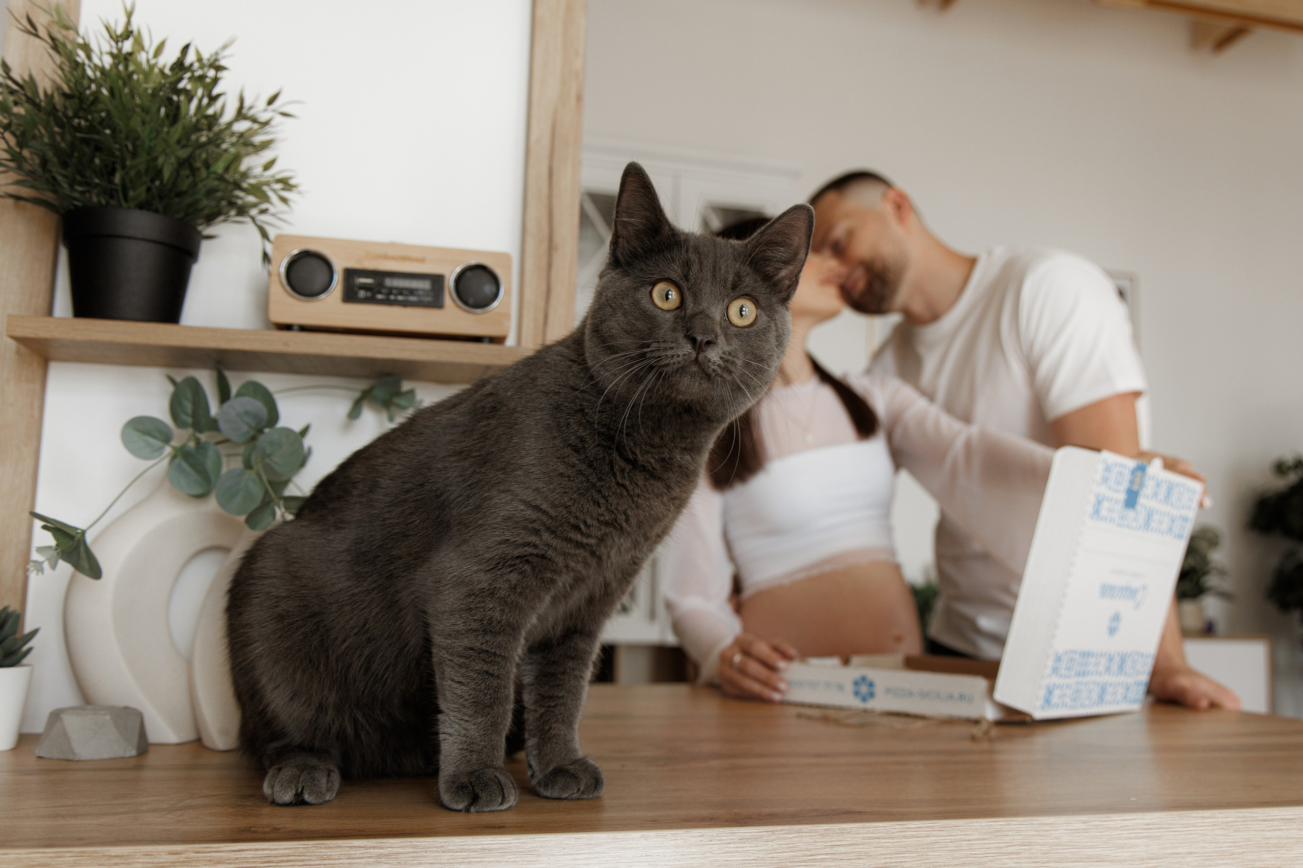 Эдвард и Наталья. Aleksantis