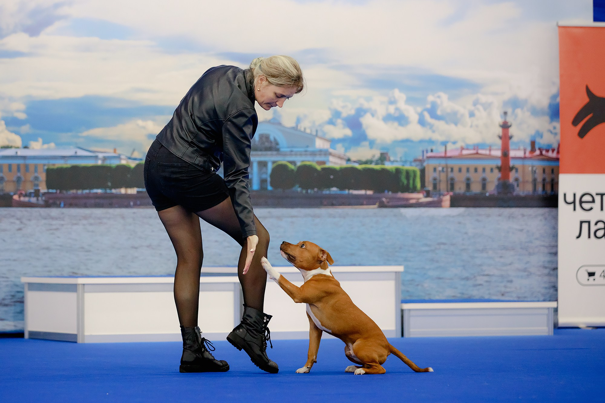 Танцы на выставке «Зоошоу», СПб. Фотограф-анималист Mary Mart — Москва, Питер