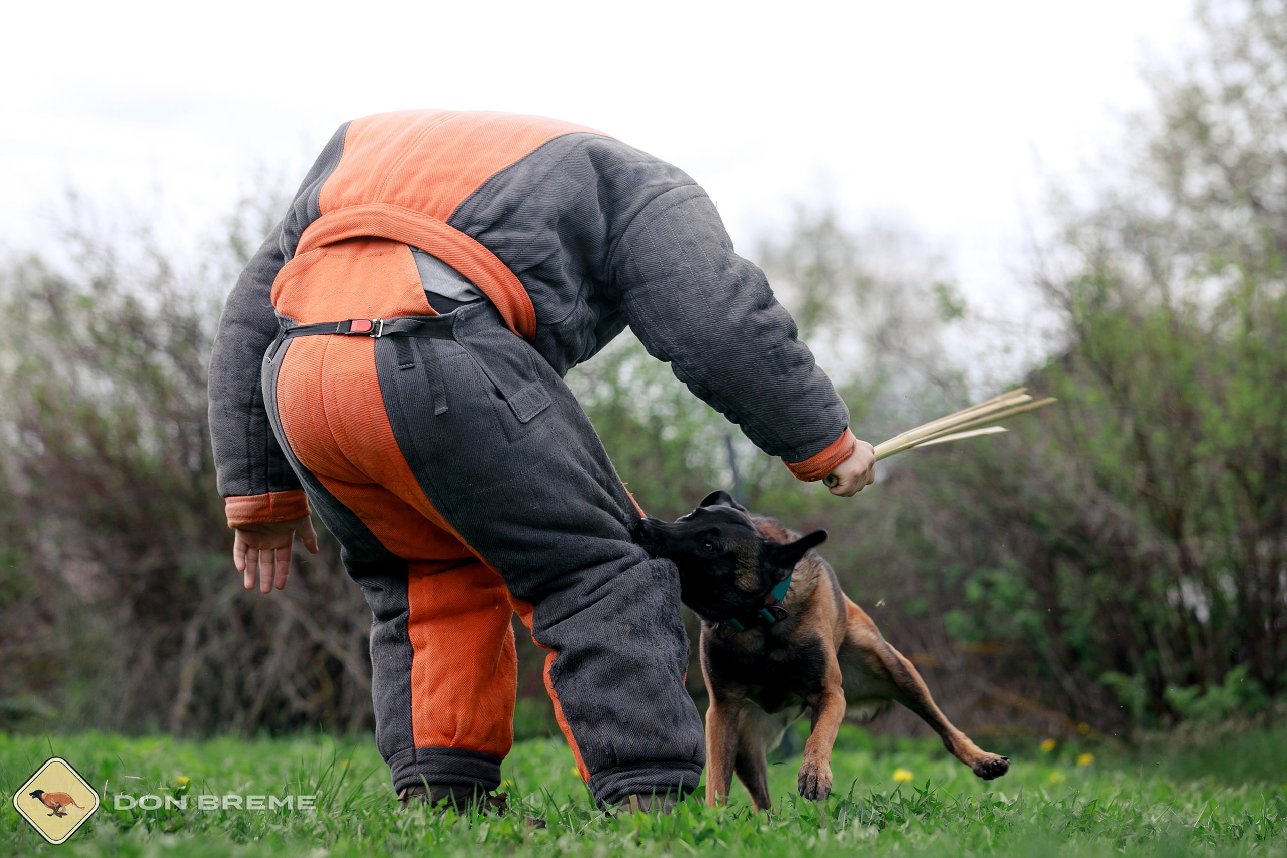 Семинар для фигурантов, день 2. Фотограф-анималист Mary Mart — Москва, Питер