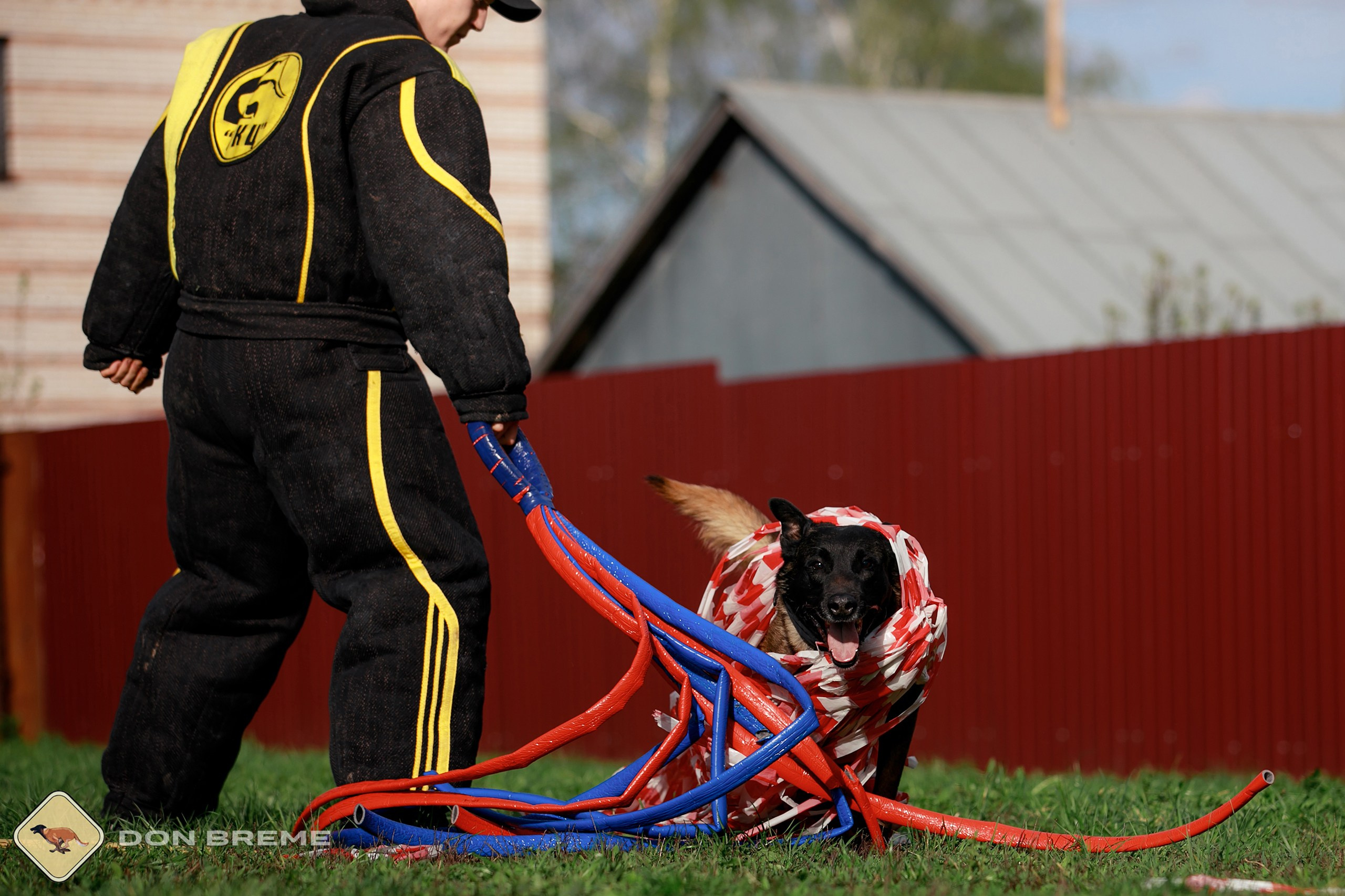 Семинар для фигурантов, день 2. Фотограф-анималист Mary Mart — Москва, Питер
