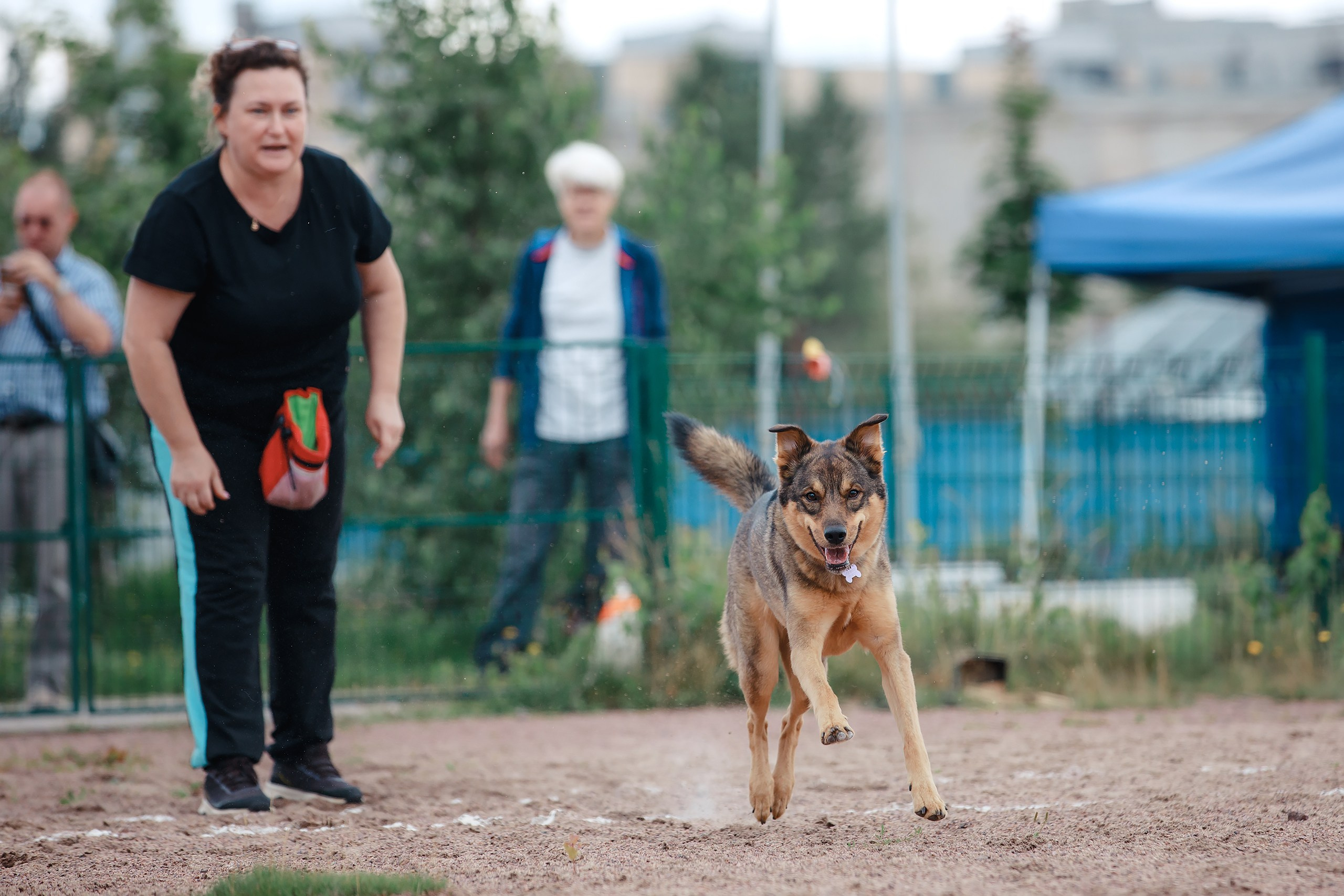 Питч&Гоу + веселые старты. Фотограф-анималист Mary Mart — Москва, Питер