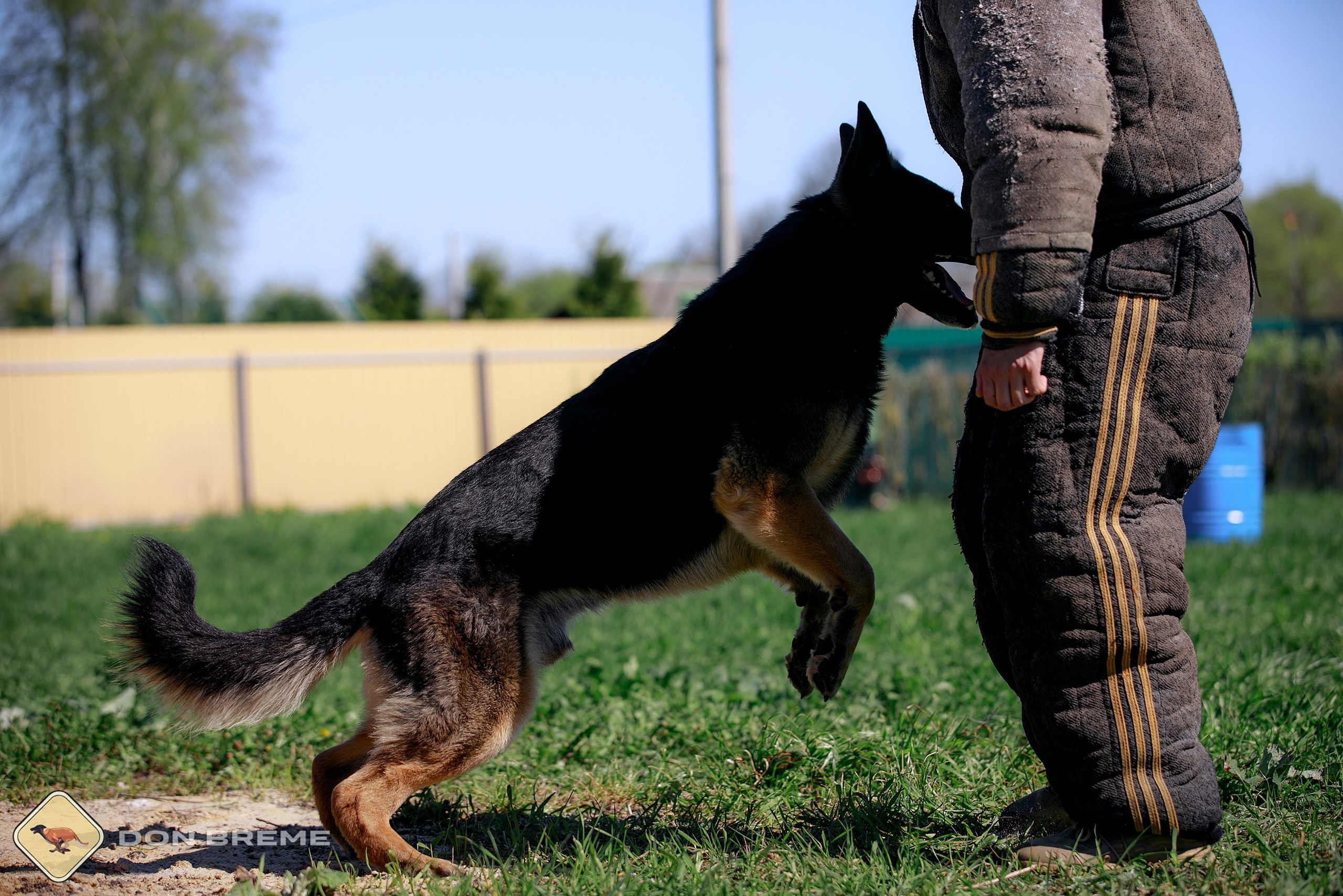 Семинар для фигурантов, день 3. Фотограф-анималист Mary Mart — Москва, Питер