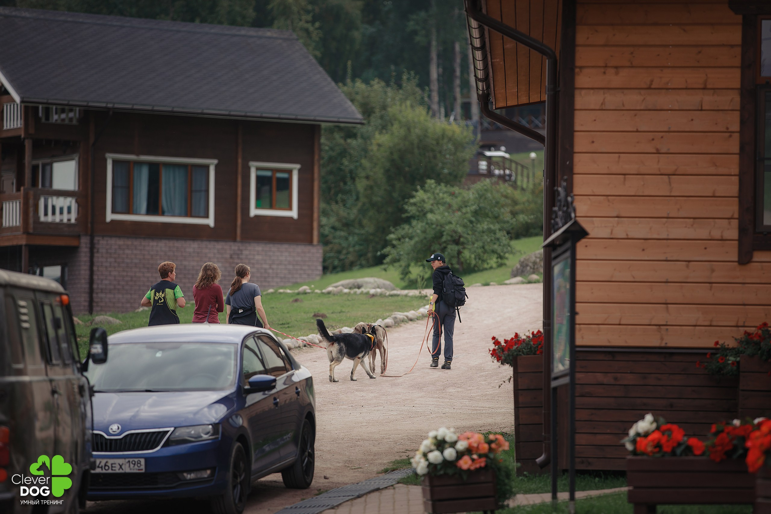 Кинологический лагерь CleverDog, 2024. Фотограф-анималист Mary Mart — Москва, Питер