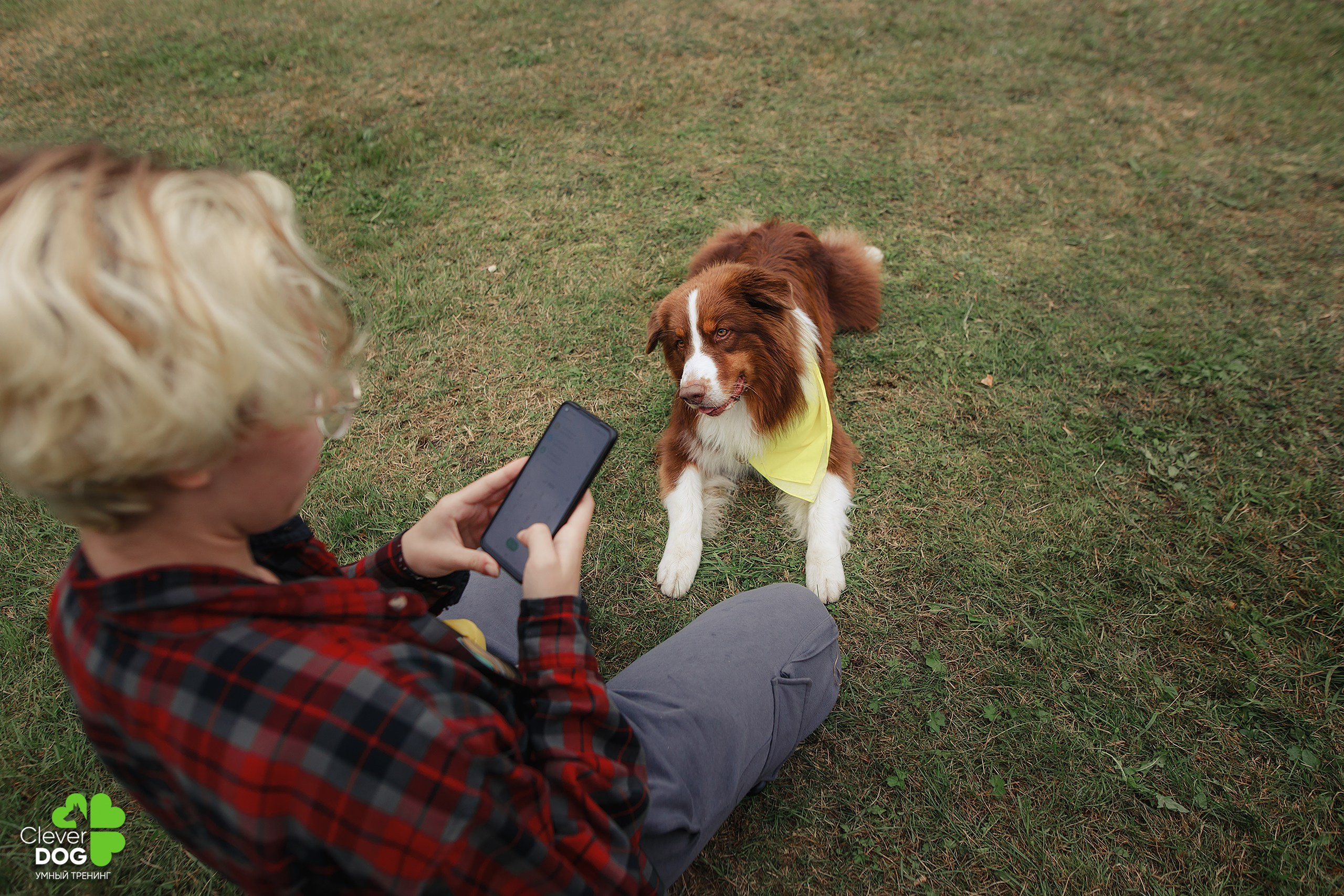 Кинологический лагерь CleverDog, 2024. Фотограф-анималист Mary Mart — Москва, Питер