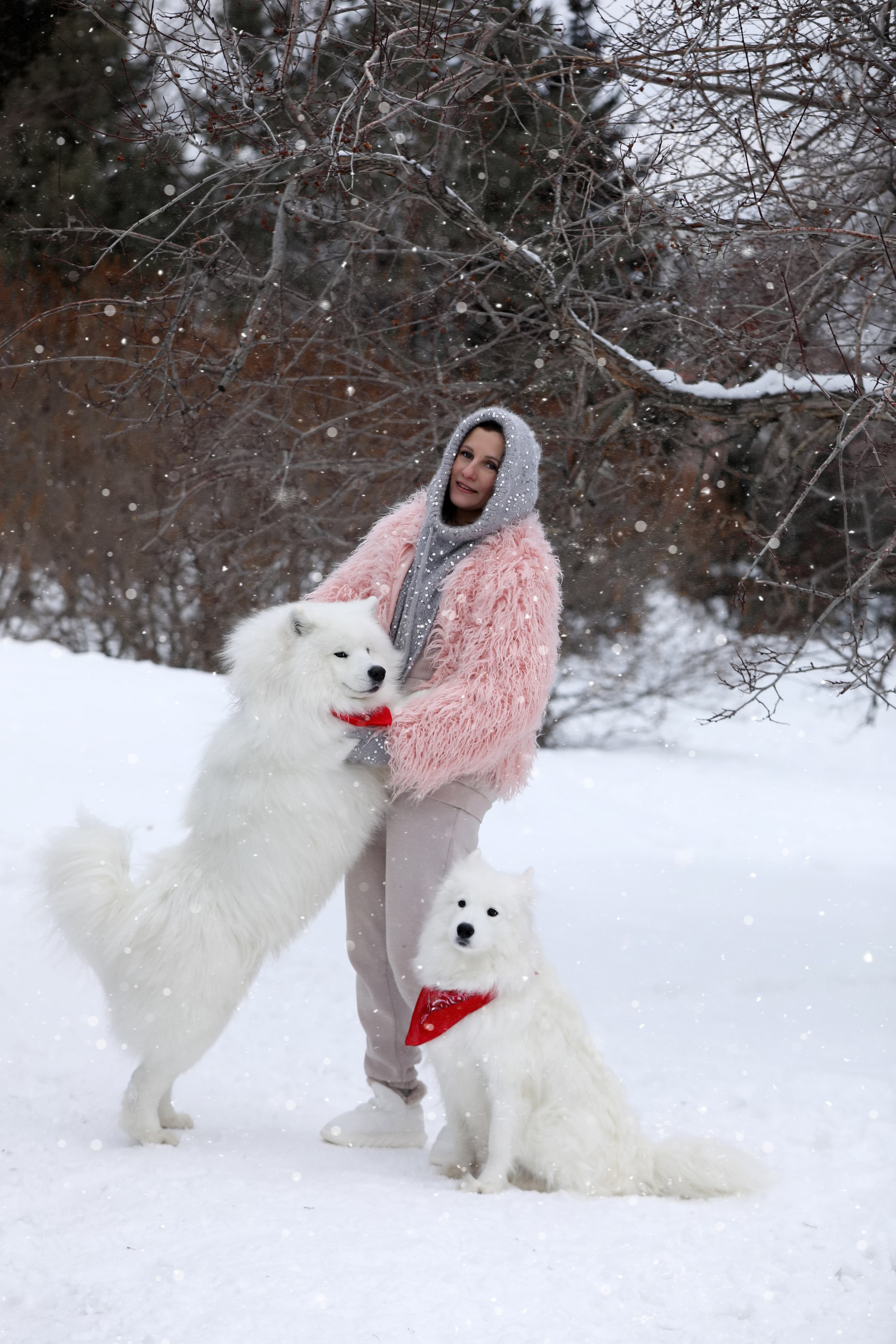 Юлия Квиткина фотограф. Самоед Новосибирск