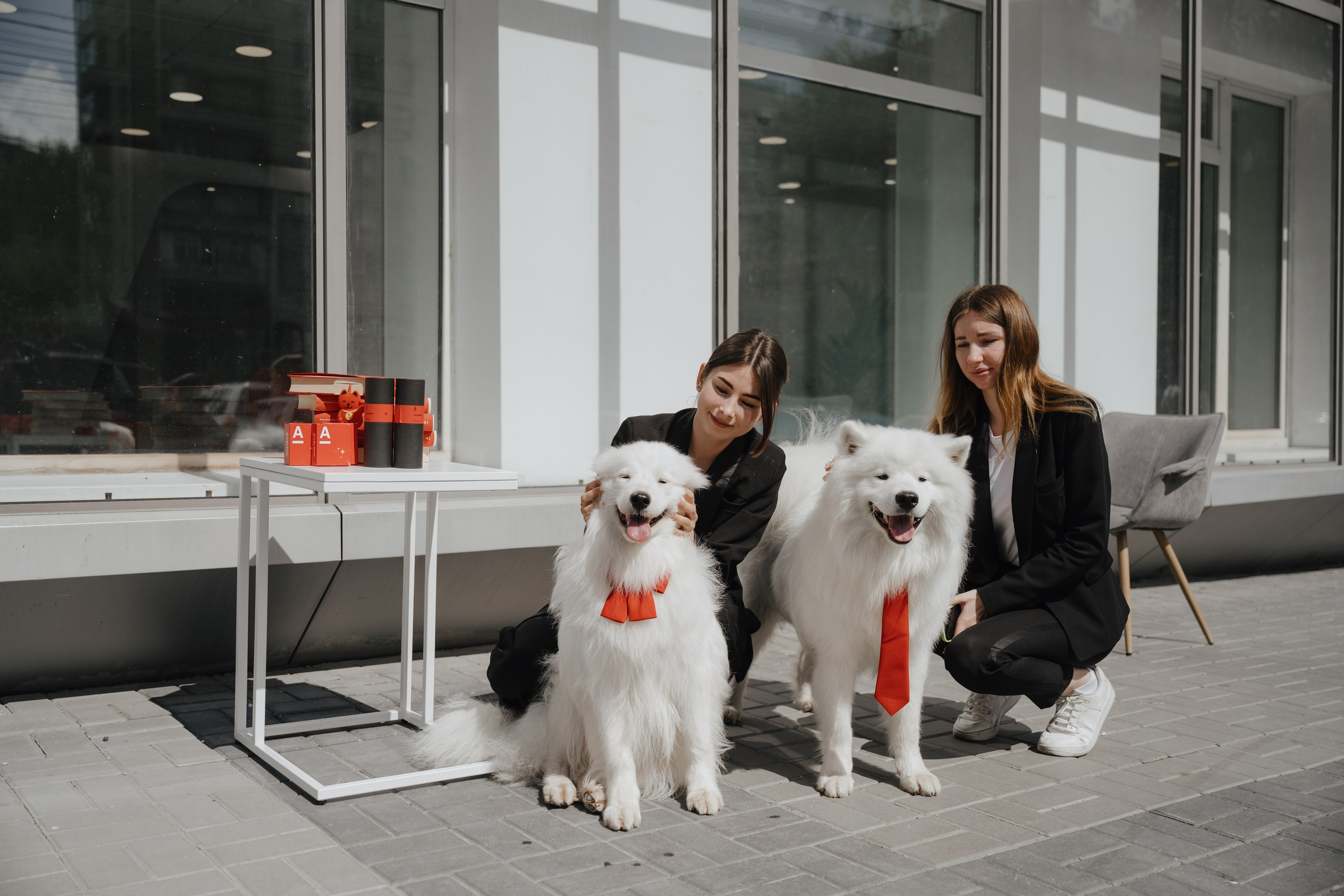 Альфа банк Карла Маркса 55. Фотограф Кристина Тумаева. Самоед Новосибирск