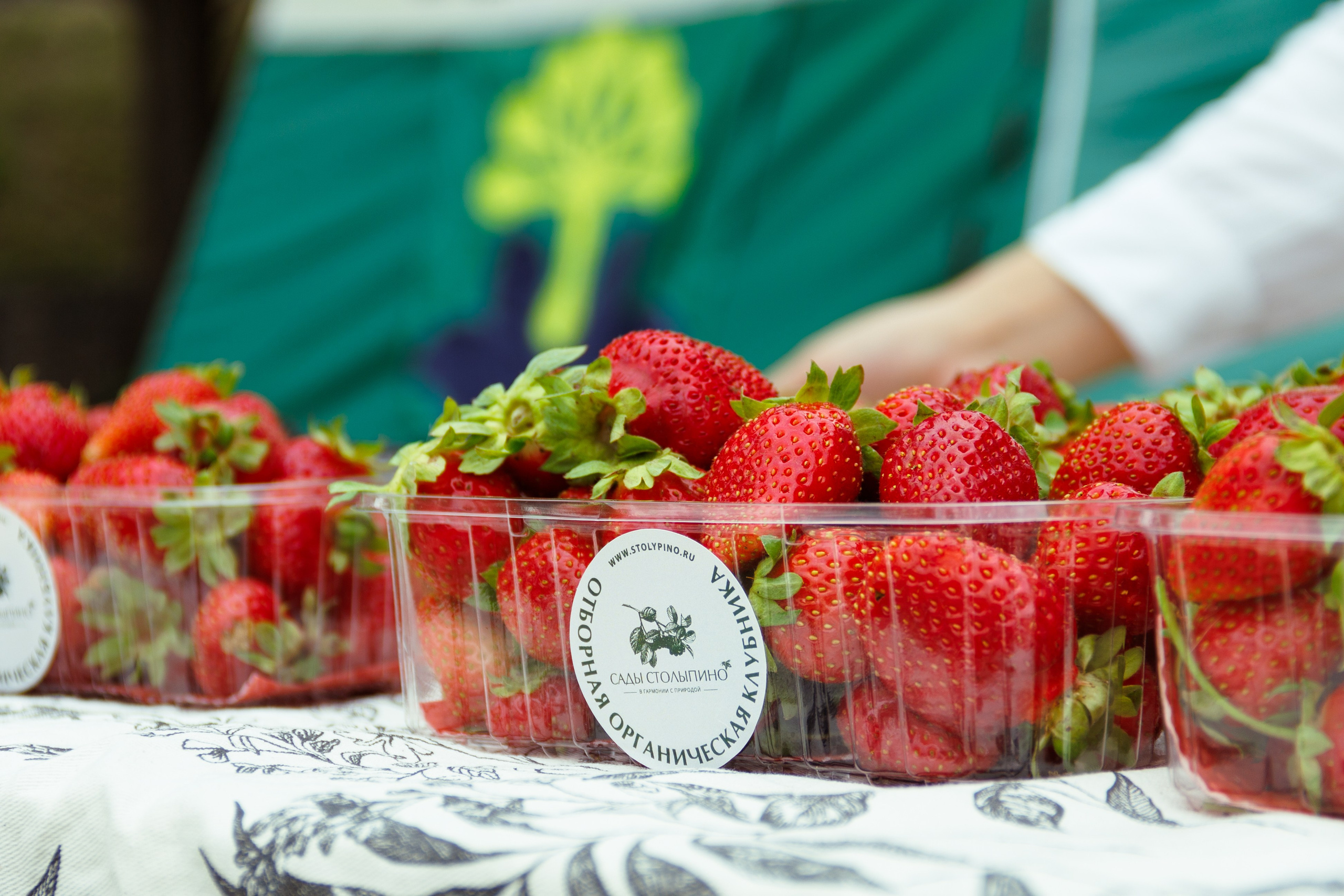 Фестиваль «На Рахате» 2025. Фотограф мероприятий и спорта: юбилеев, дней рождений и корпоративов из Москвы