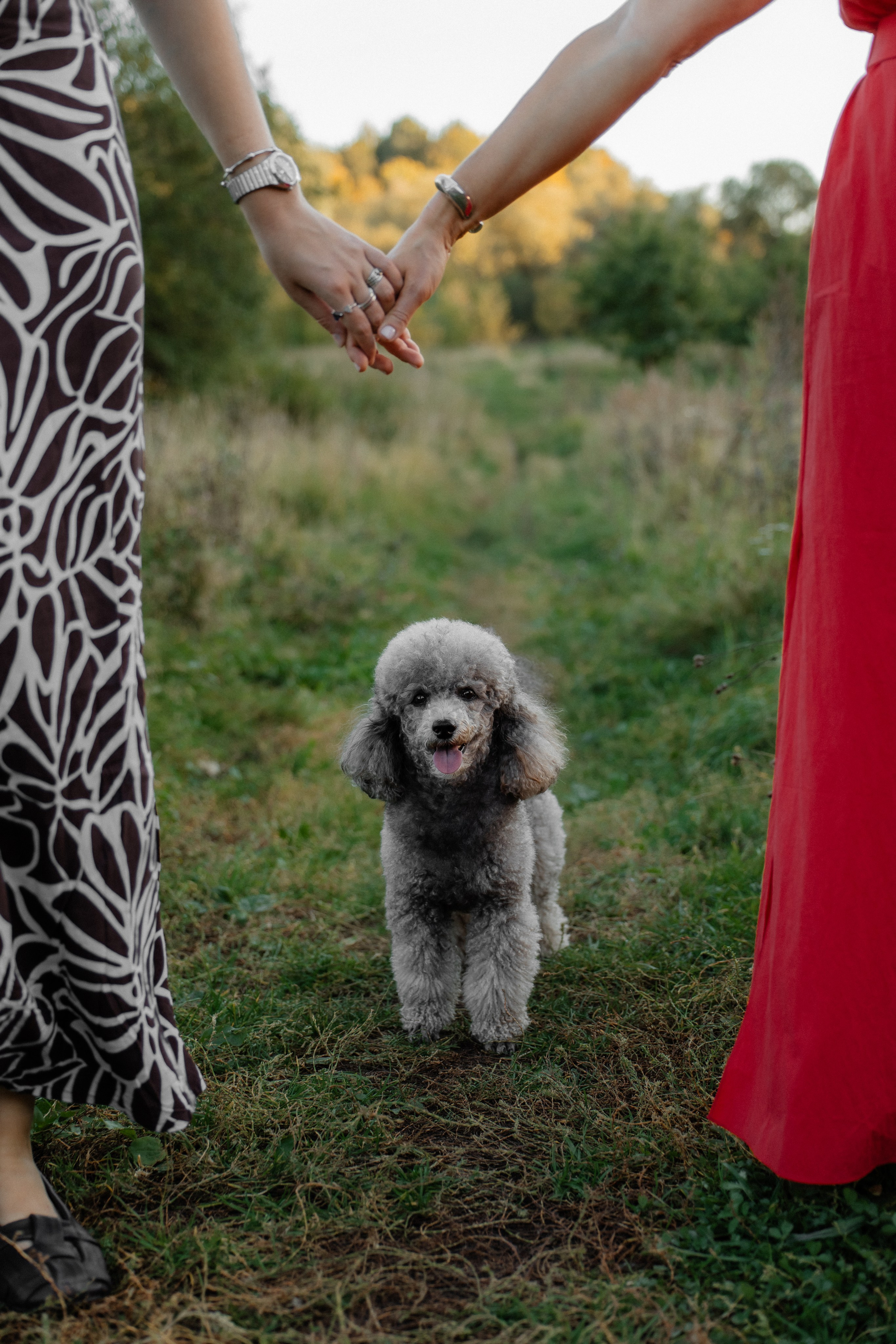 Про семью. Семейный фотограф в Москве