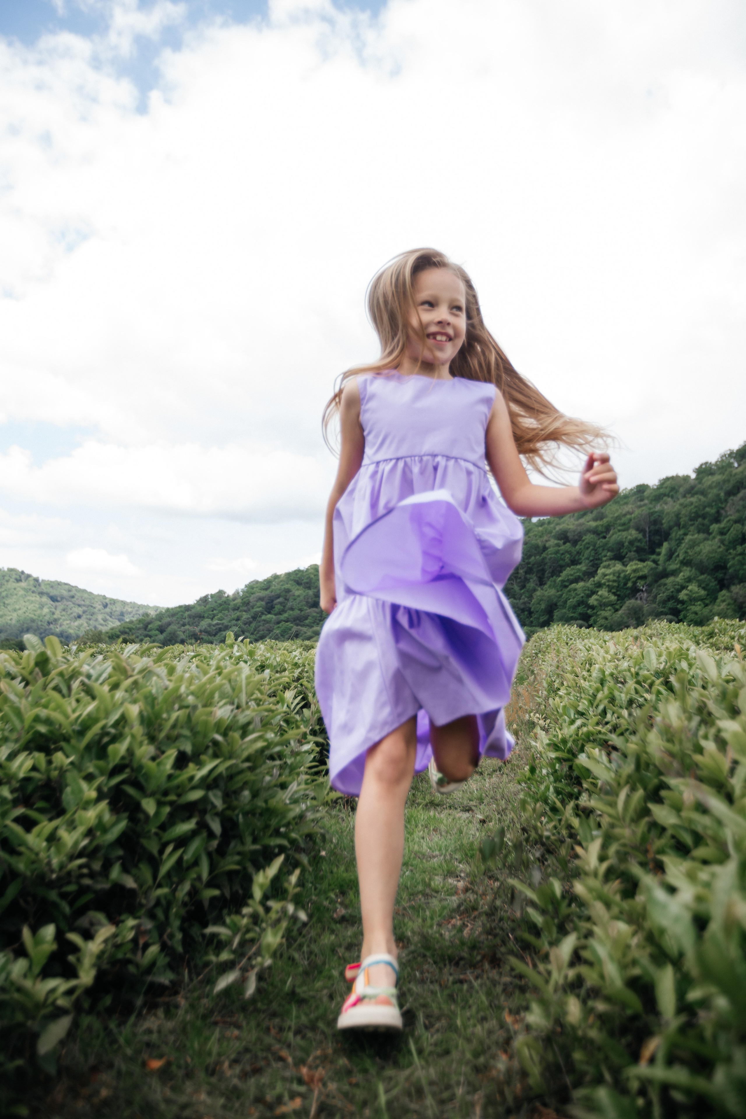 Tea plantation. Efimova Model Agency