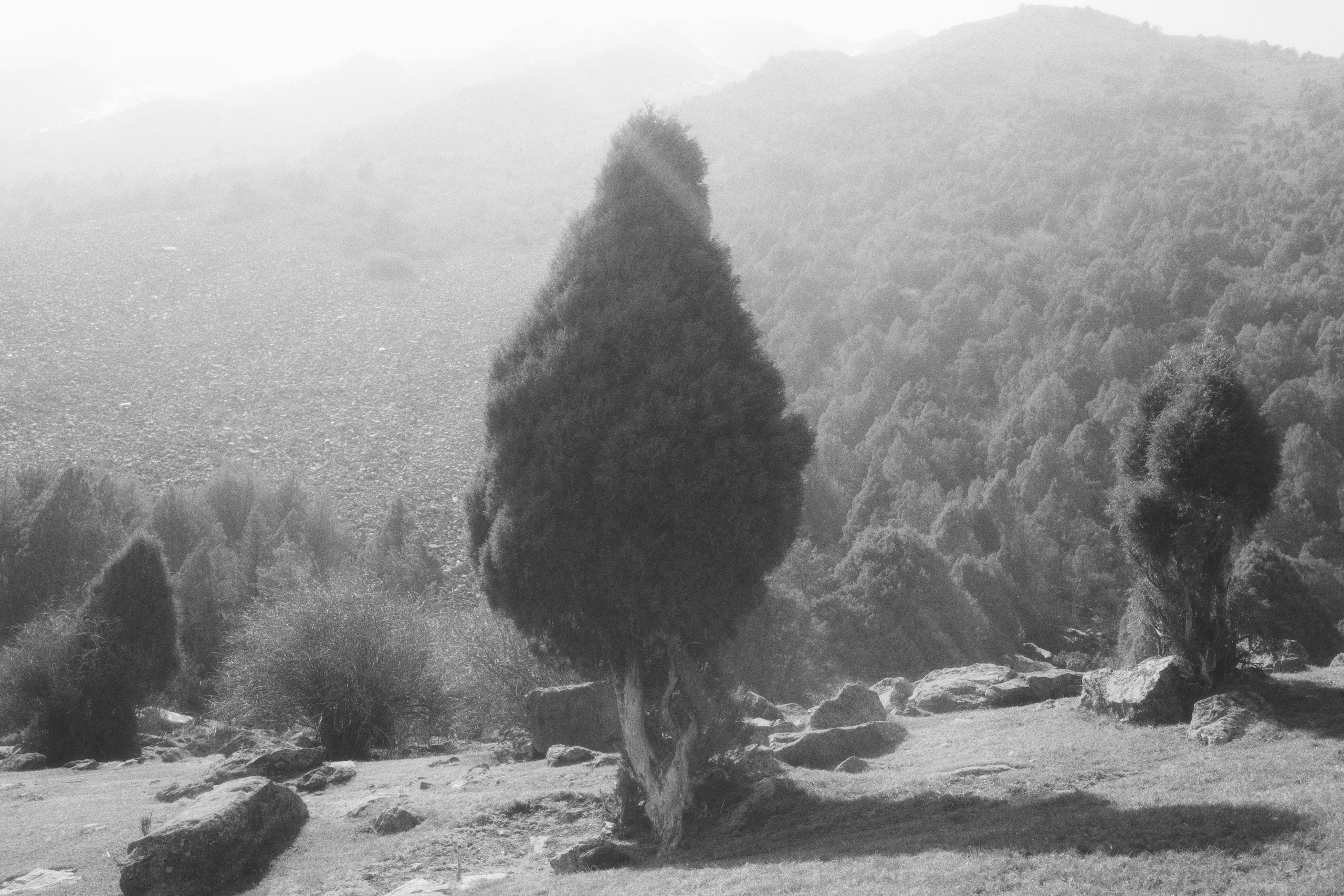 Alamedin valley / Kyrgyzstan 2024. POLINA MÔMOT