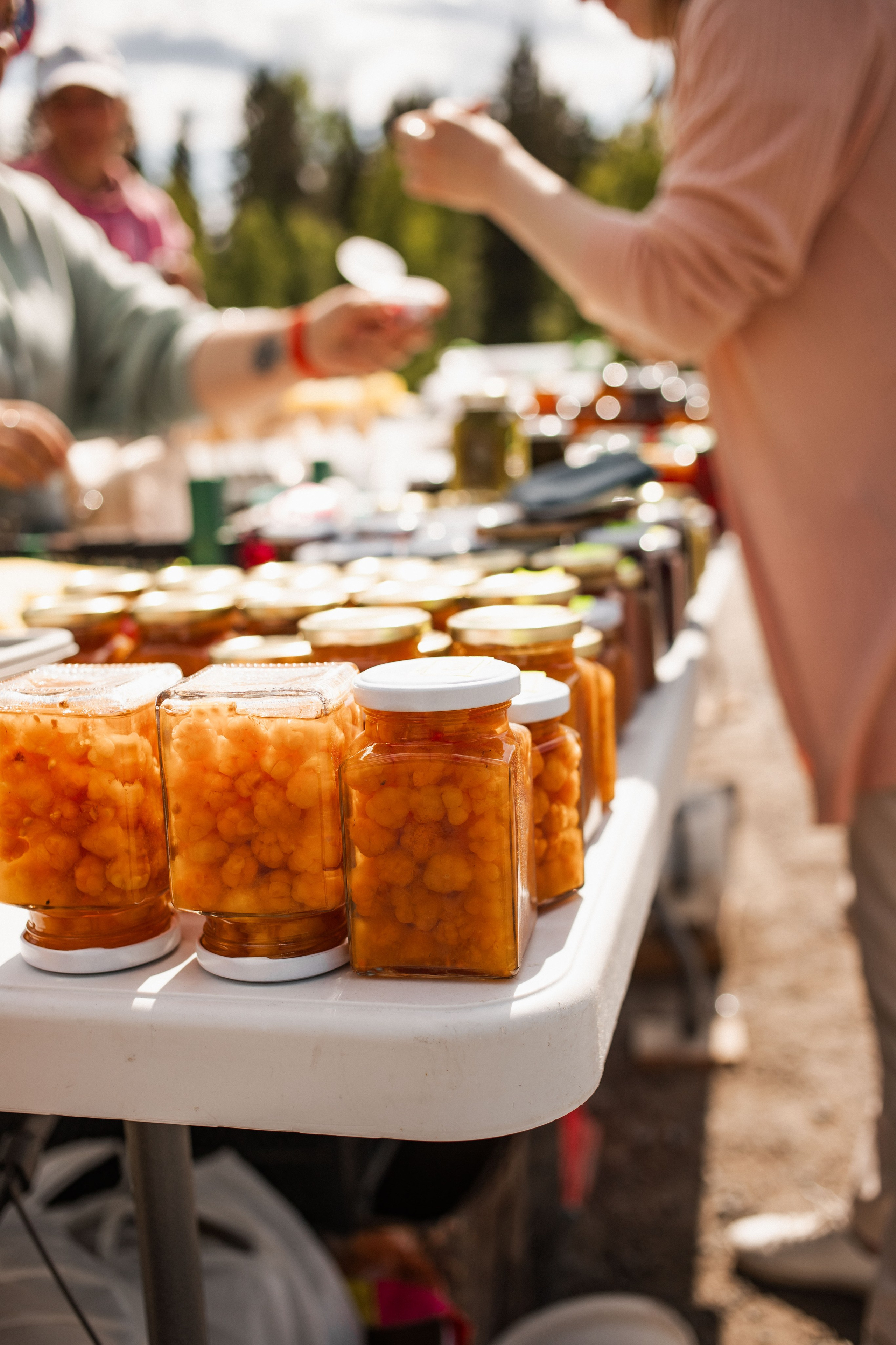 Карелия. Фотограф в Минске Анастасия Ткаченко