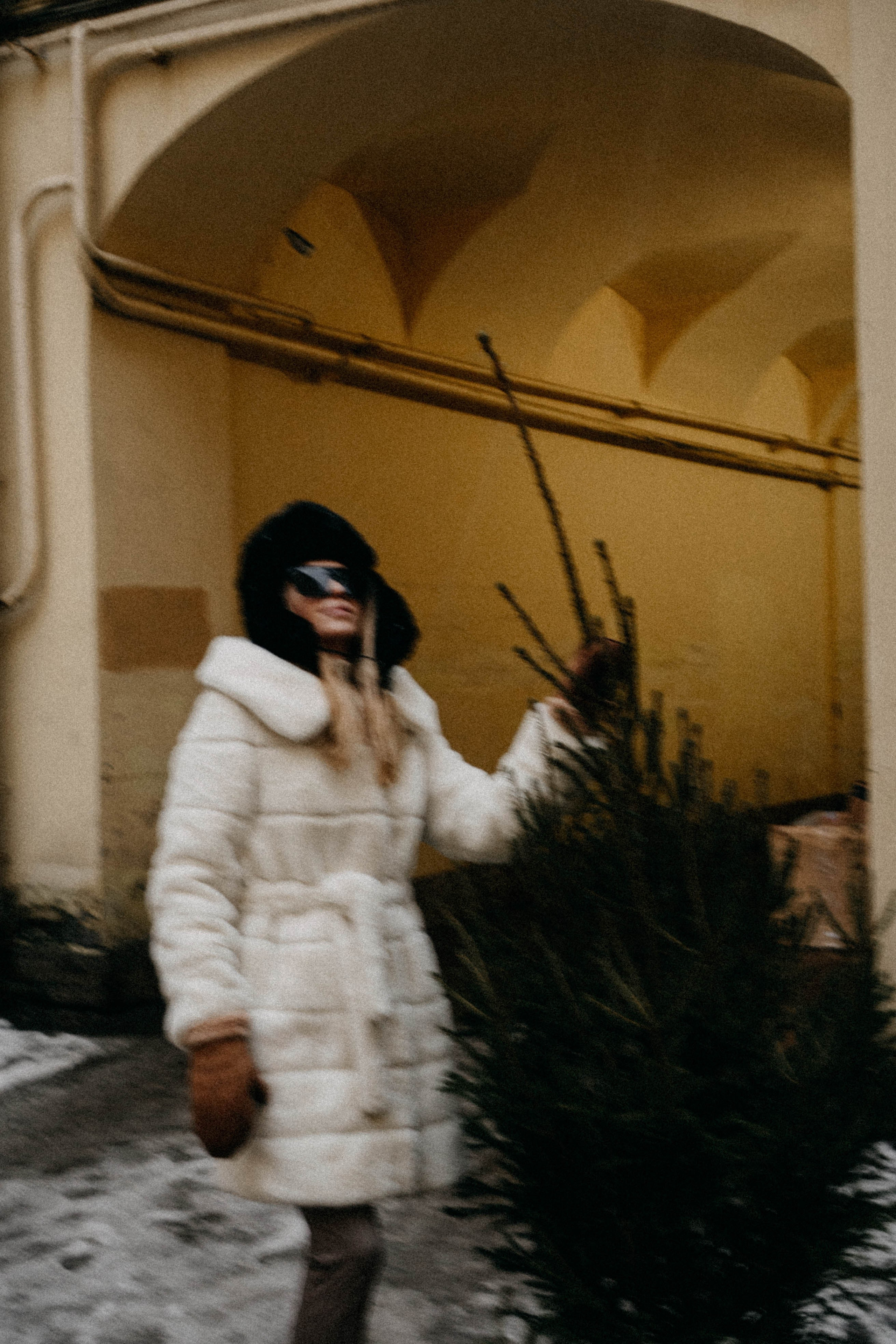 Новогодняя. Профессиональный фотограф, Санкт-Петербург — Виктория Богомолова