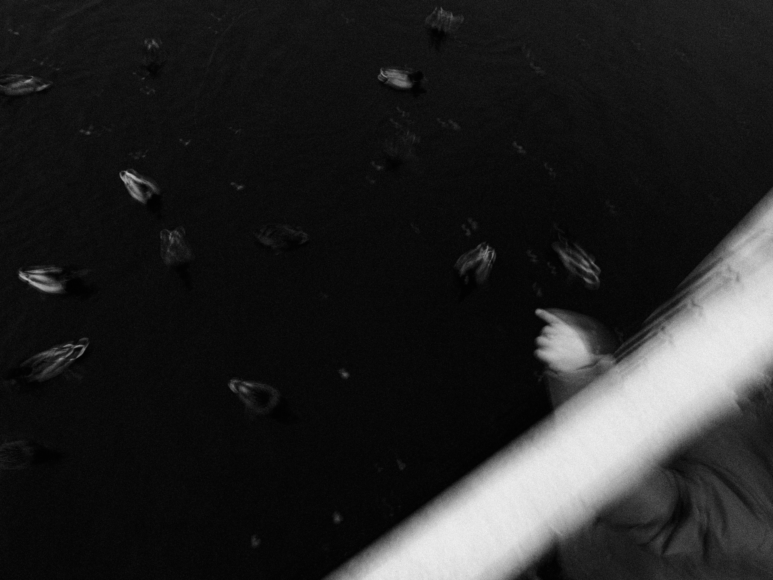 Мастерская. …