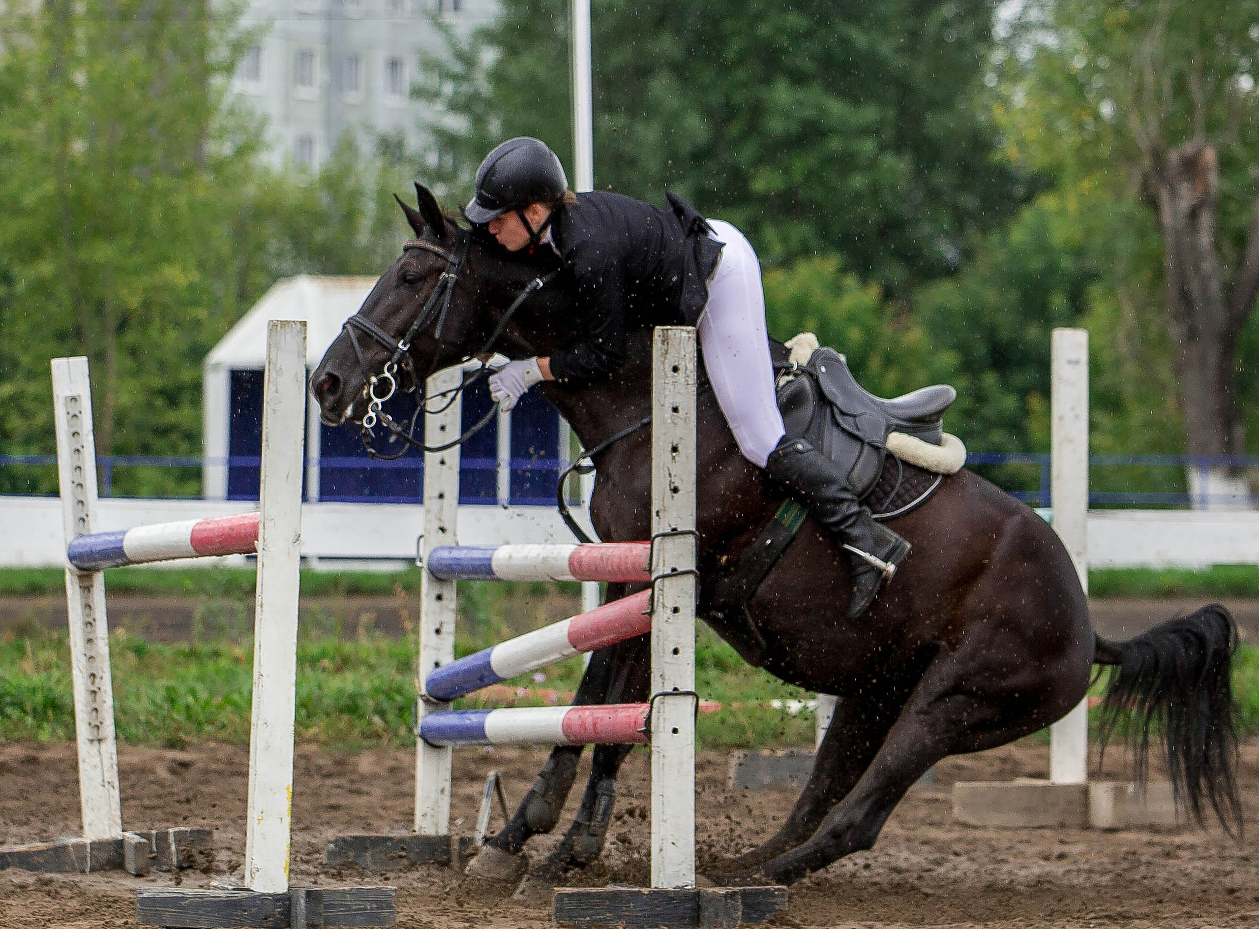 Соревнования 2022. Конный фотограф в Красноярске — Любовь Похабова