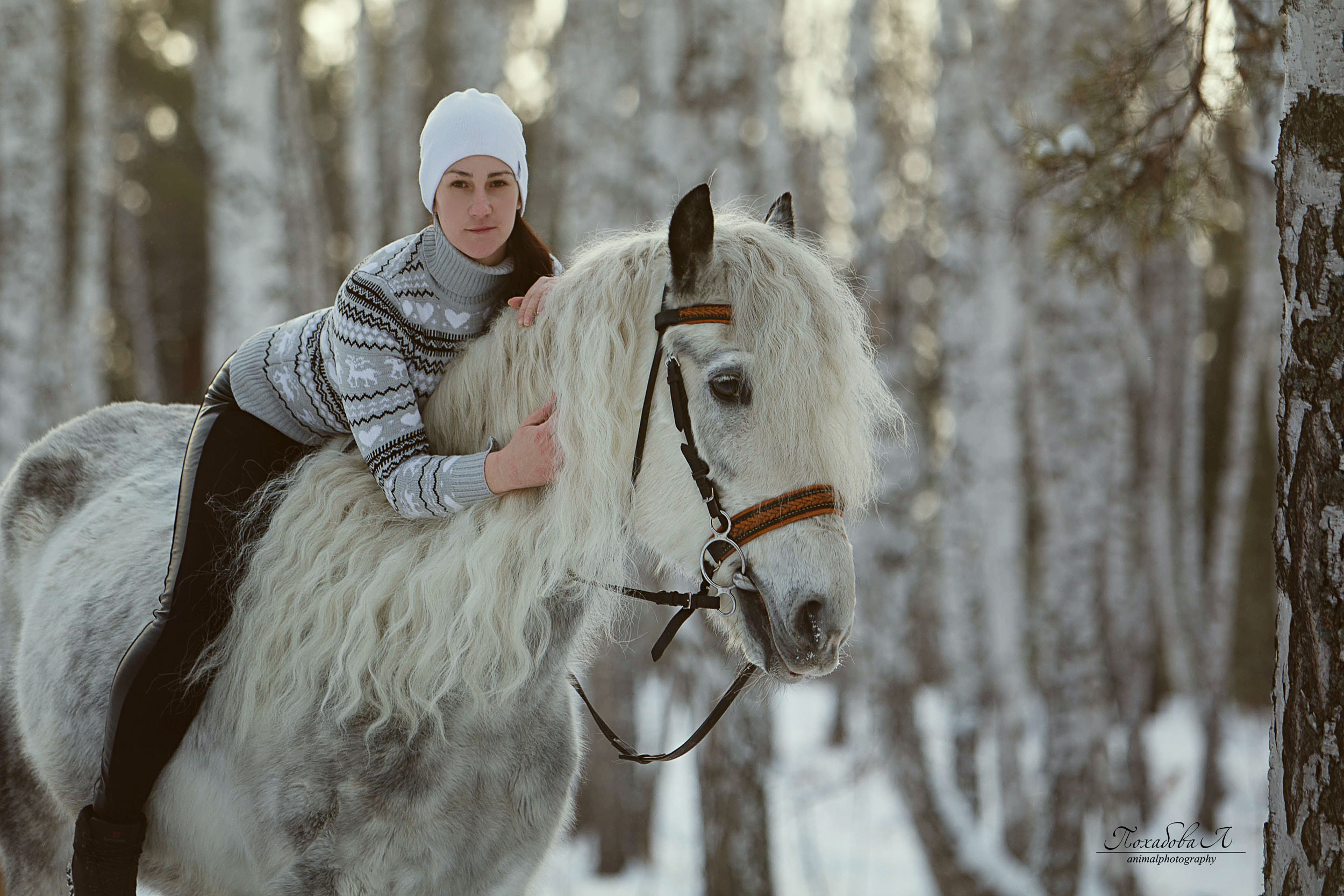 Феникс. Конный фотограф в Красноярске — Любовь Похабова