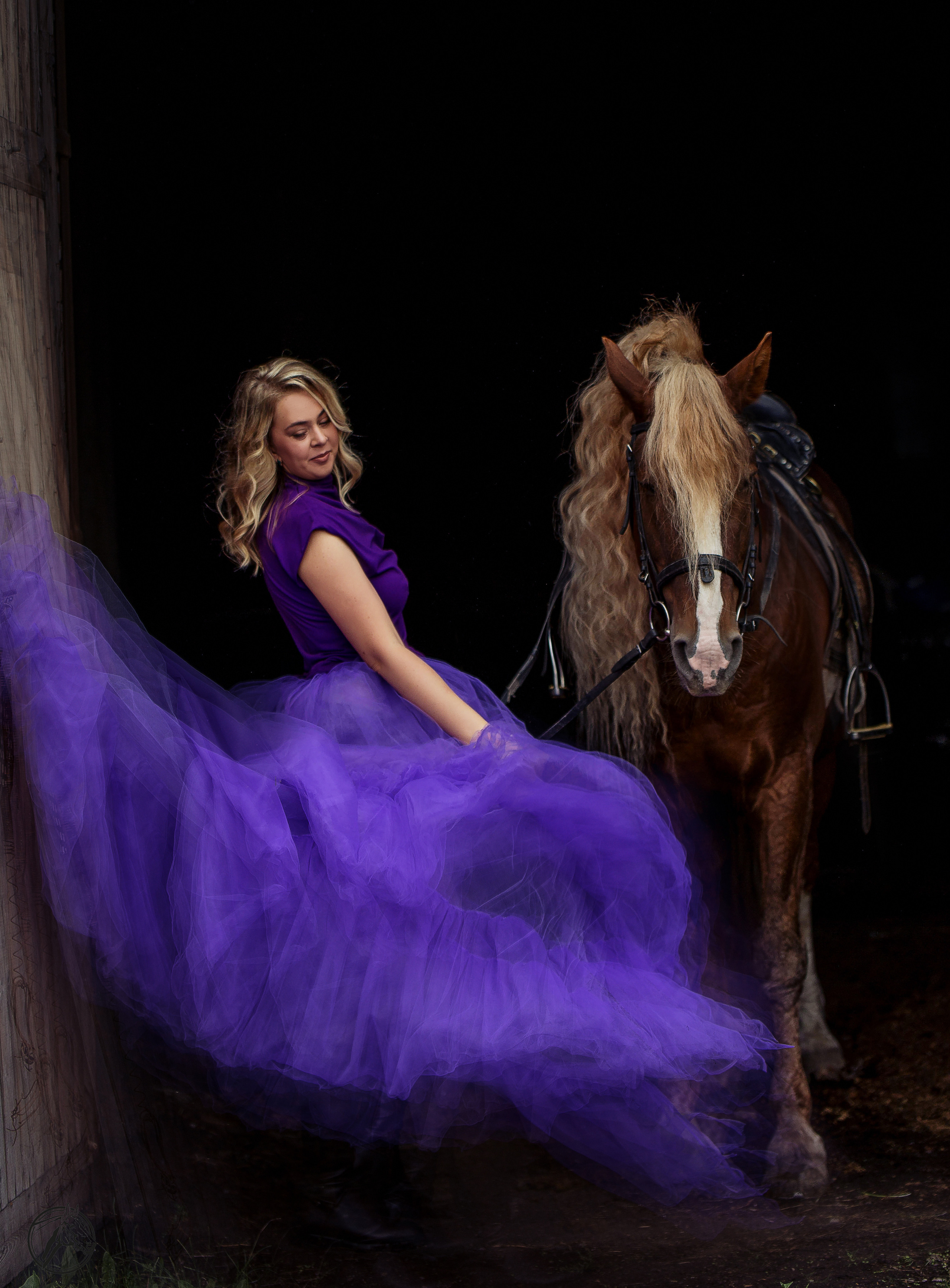 Красноярский ип-м. Конный фотограф в Красноярске — Любовь Похабова