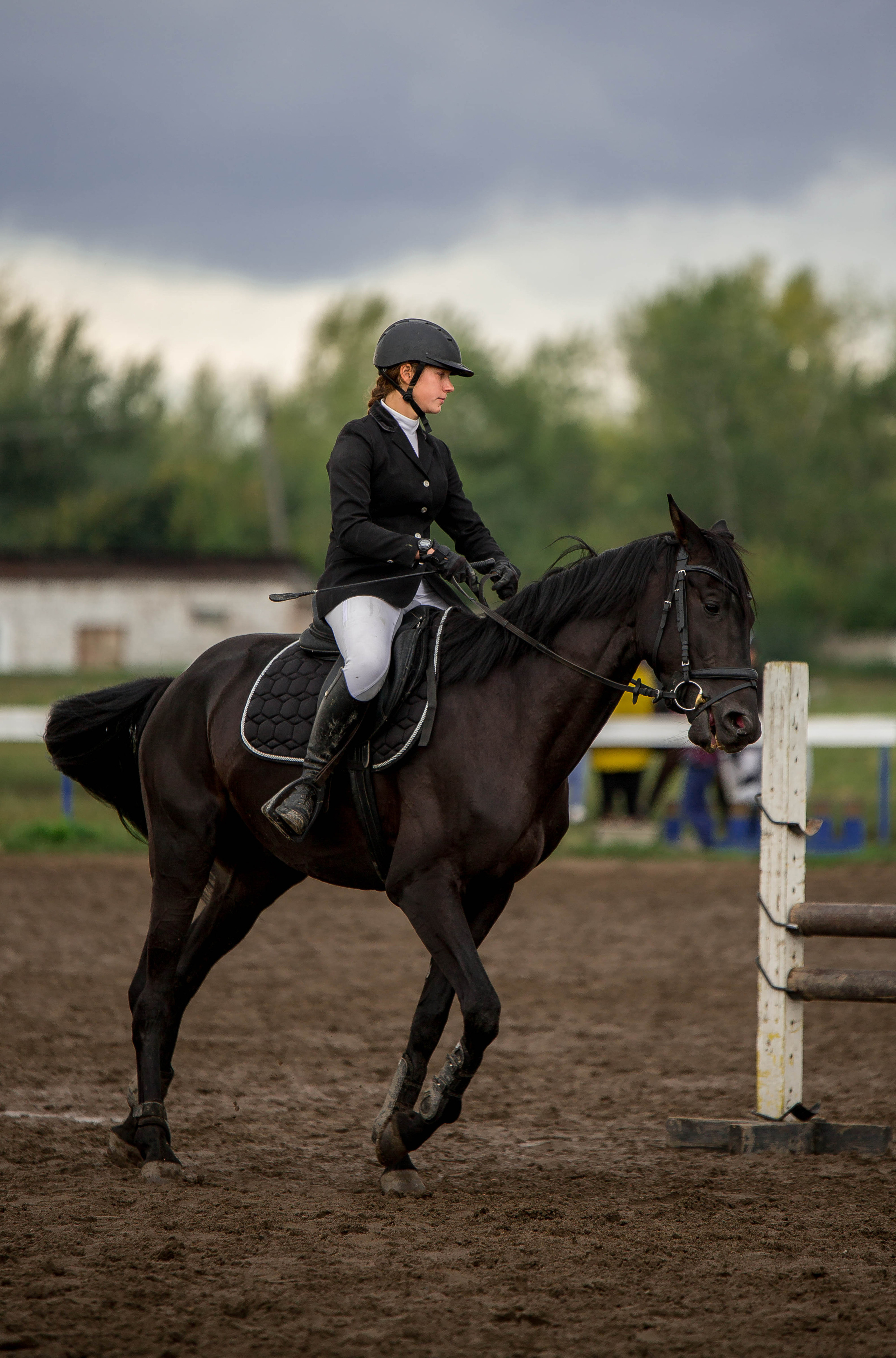 Соревнования 2022. Конный фотограф в Красноярске — Любовь Похабова