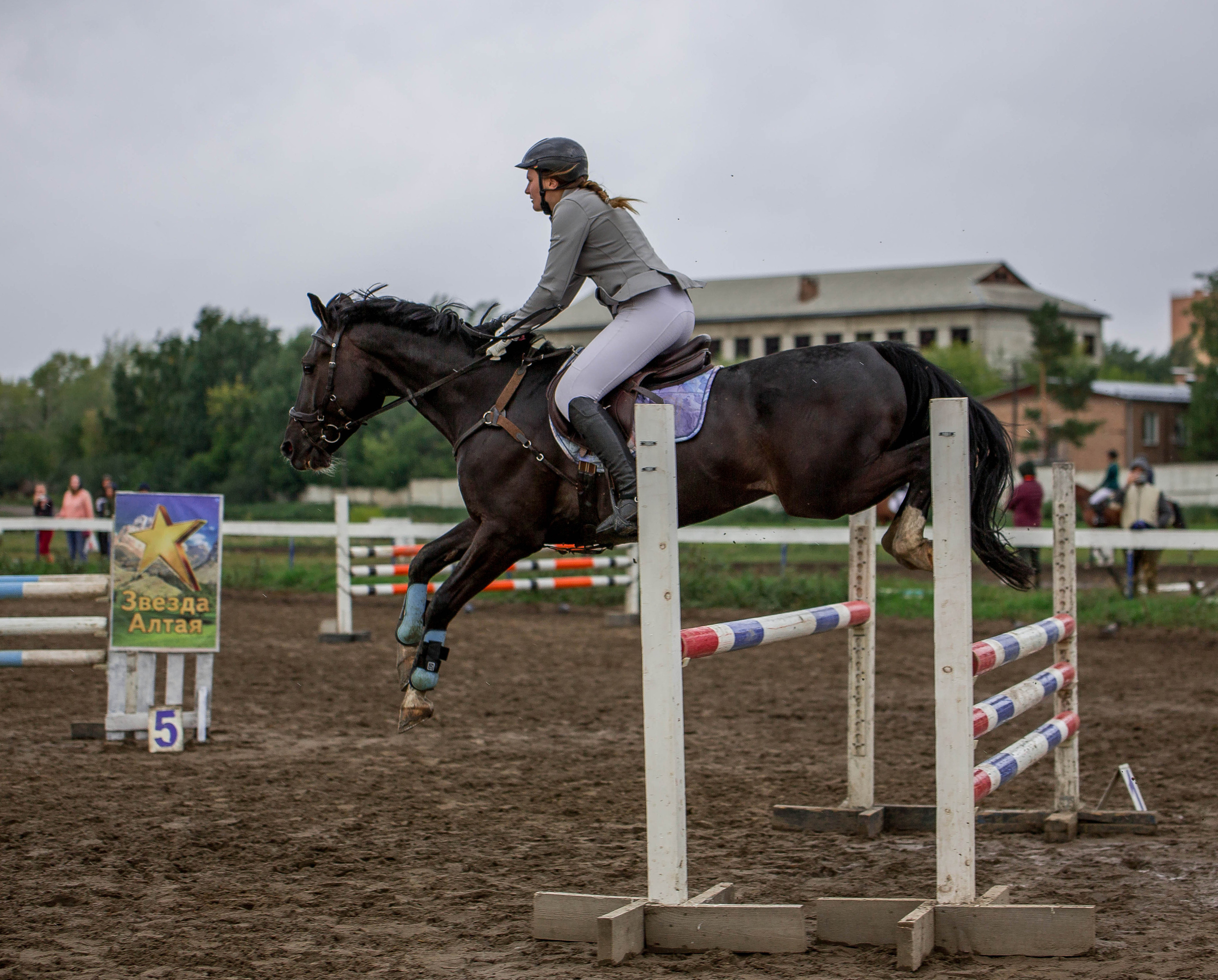 Соревнования 2022. Конный фотограф в Красноярске — Любовь Похабова