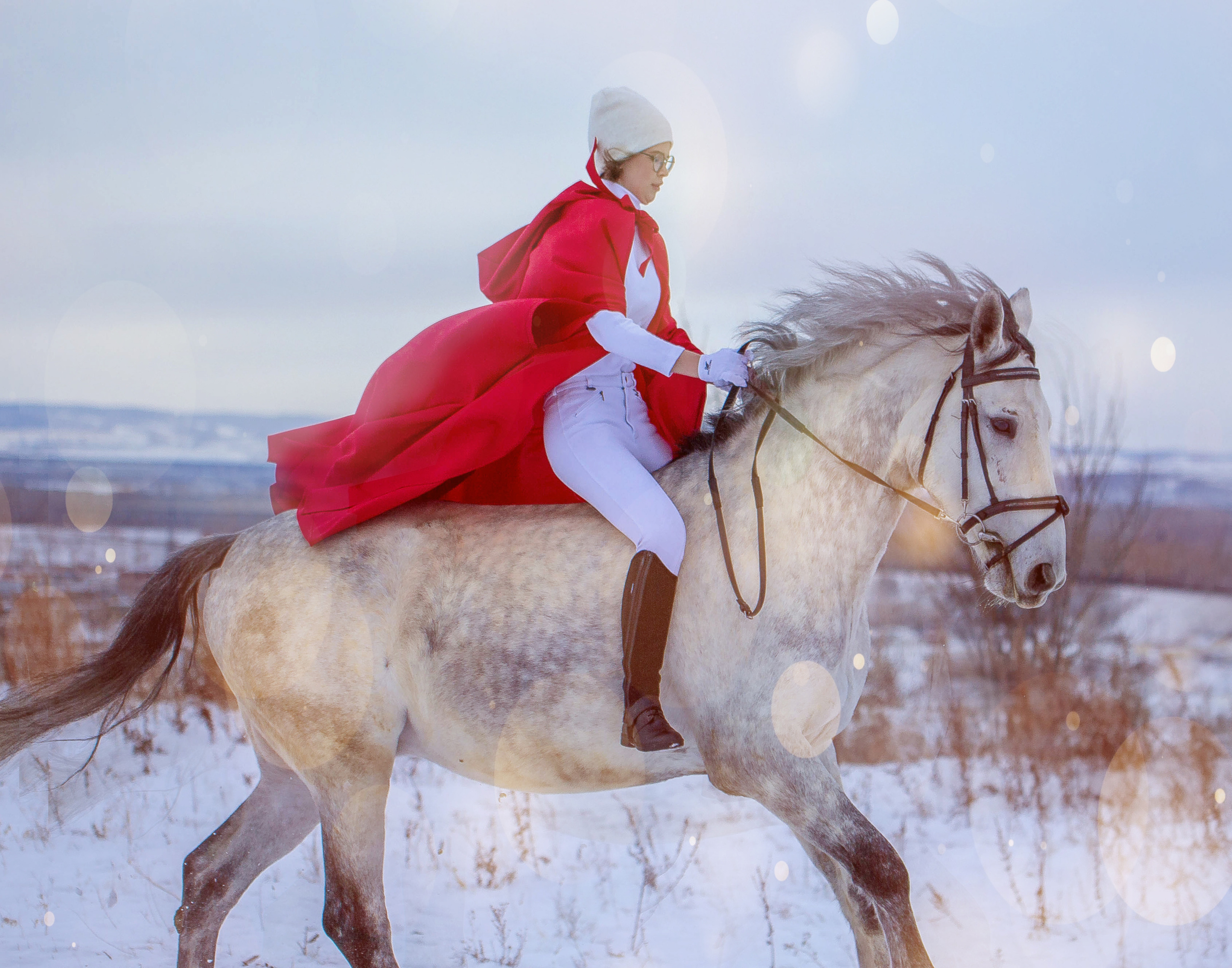 Кентавр. Конный фотограф в Красноярске — Любовь Похабова