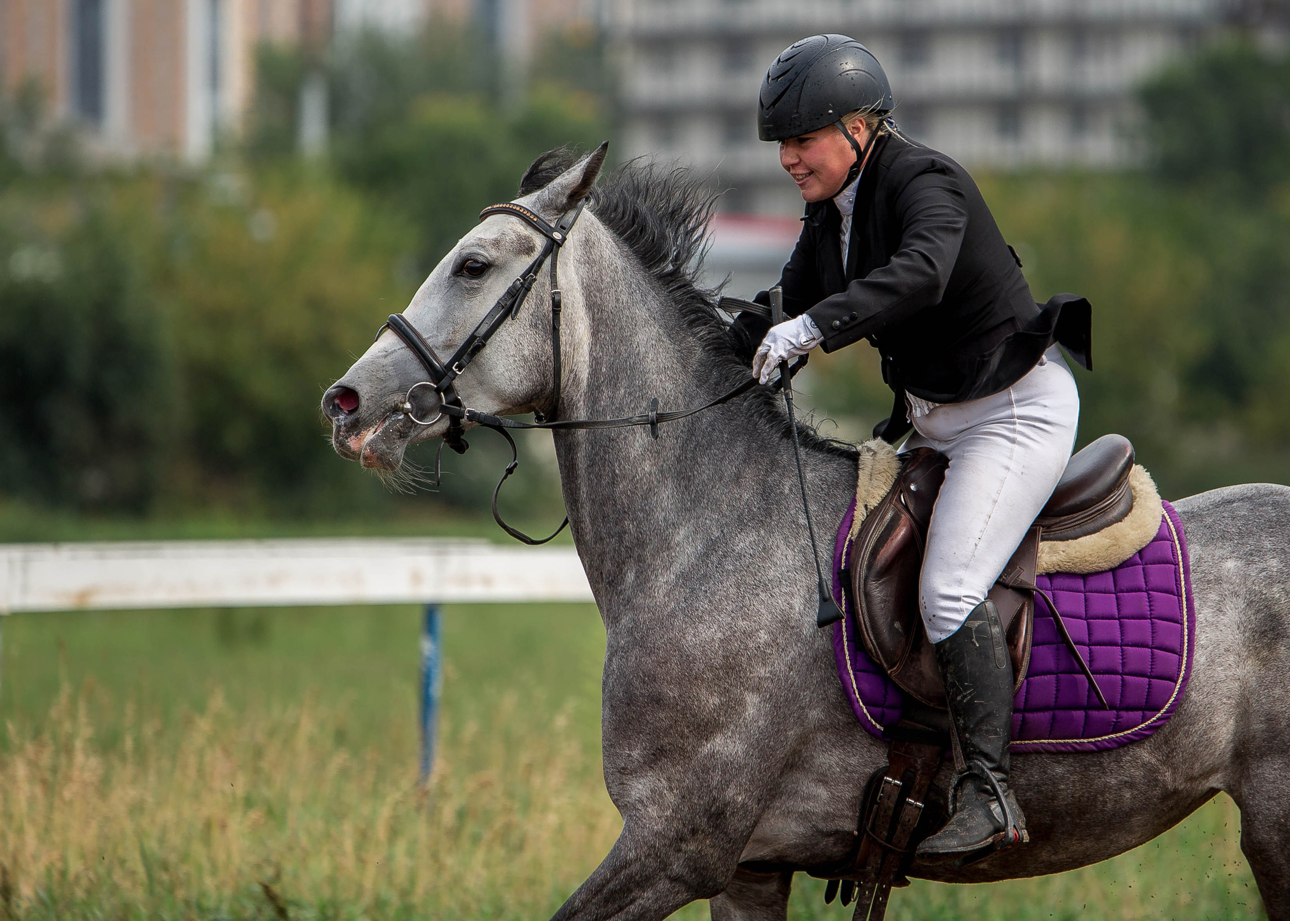 Соревнования 2022. Конный фотограф в Красноярске — Любовь Похабова