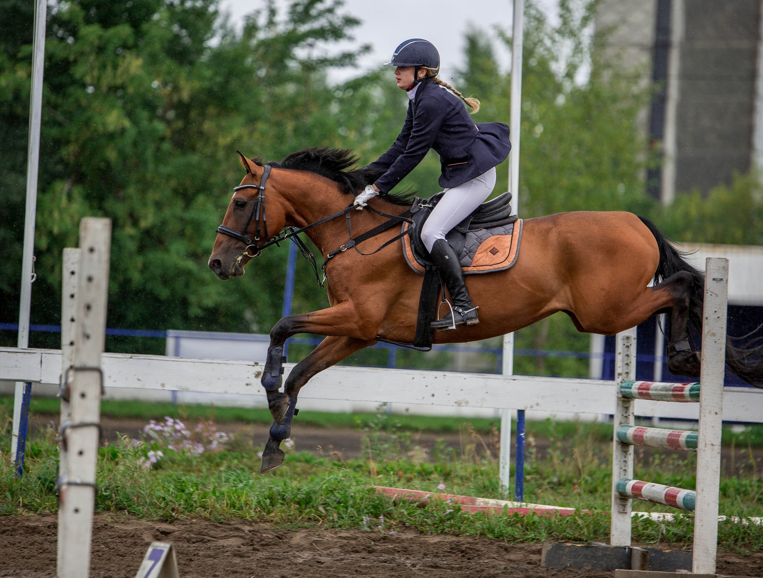 Соревнования 2022. Конный фотограф в Красноярске — Любовь Похабова