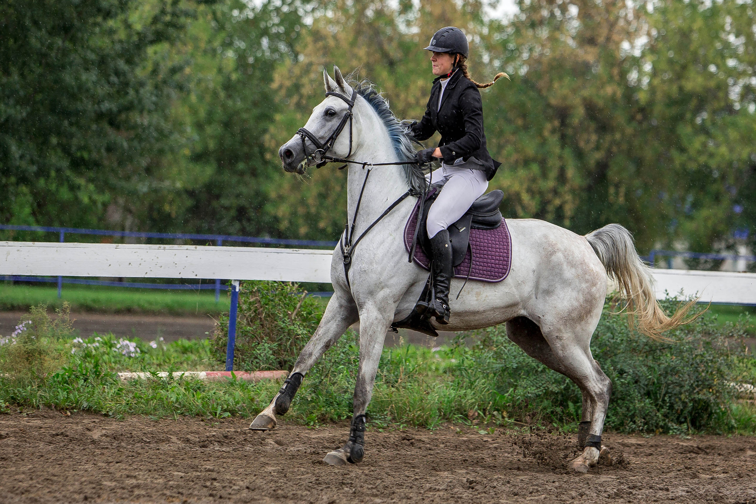 Соревнования 2022. Конный фотограф в Красноярске — Любовь Похабова