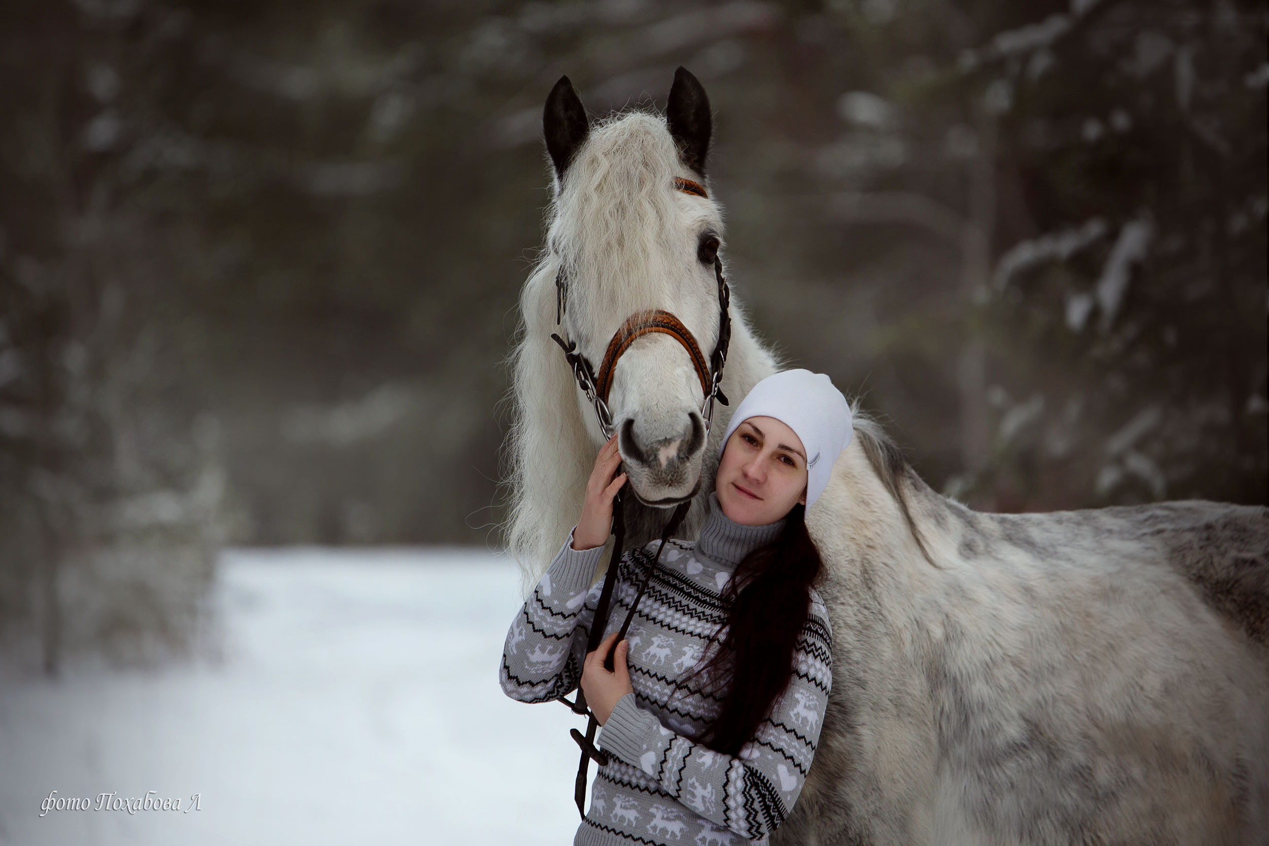 Феникс. Конный фотограф в Красноярске — Любовь Похабова