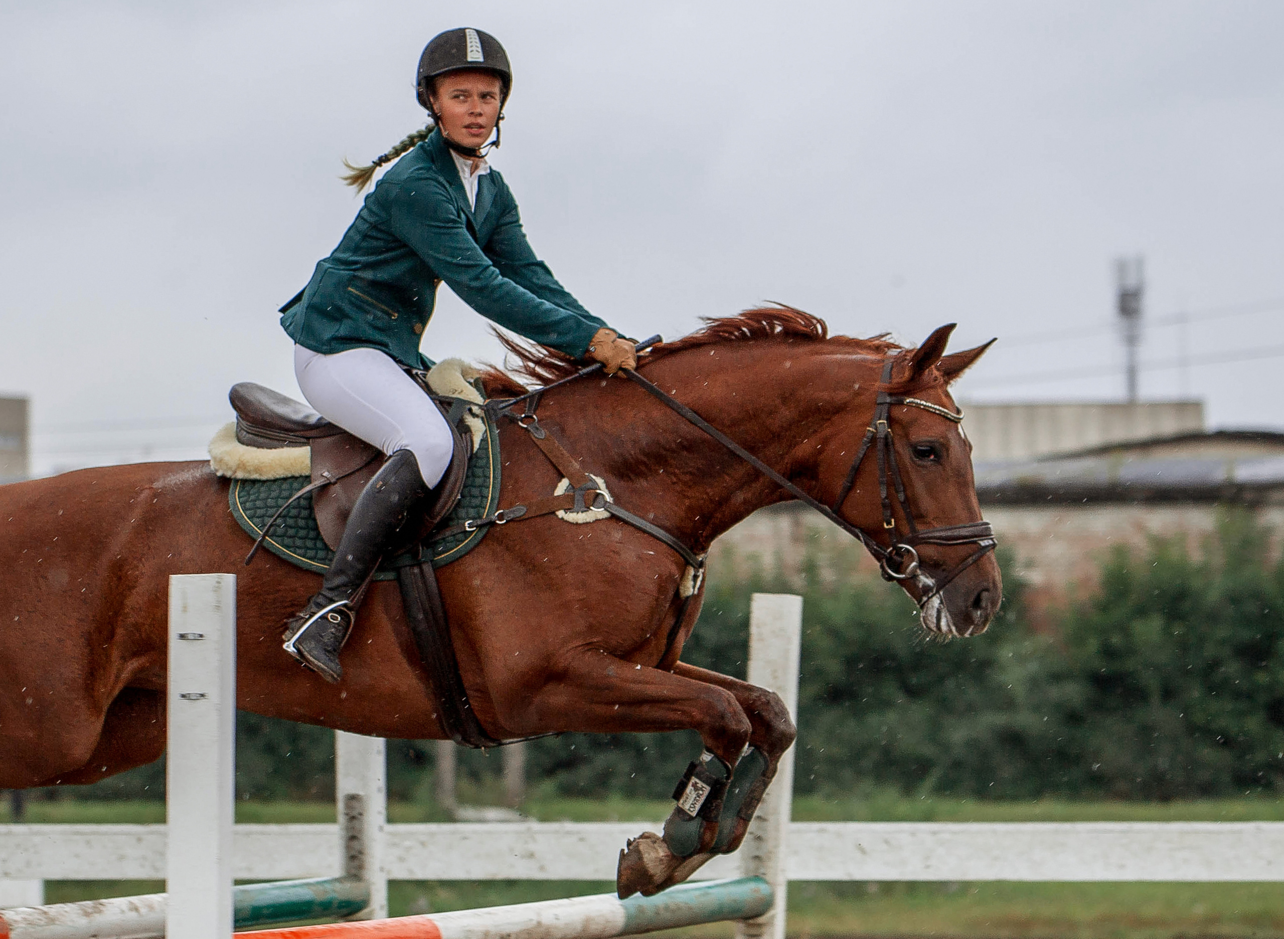 Соревнования 2022. Конный фотограф в Красноярске — Любовь Похабова