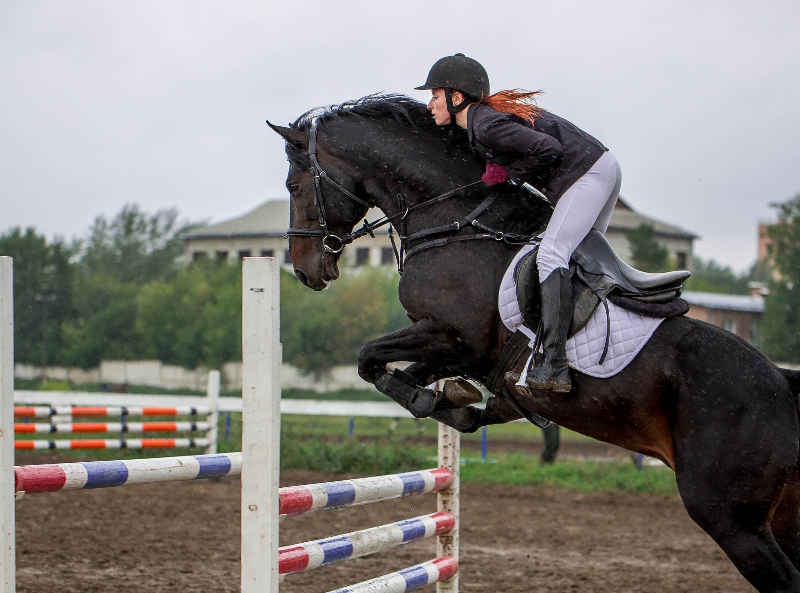 Соревнования 2022. Конный фотограф в Красноярске — Любовь Похабова