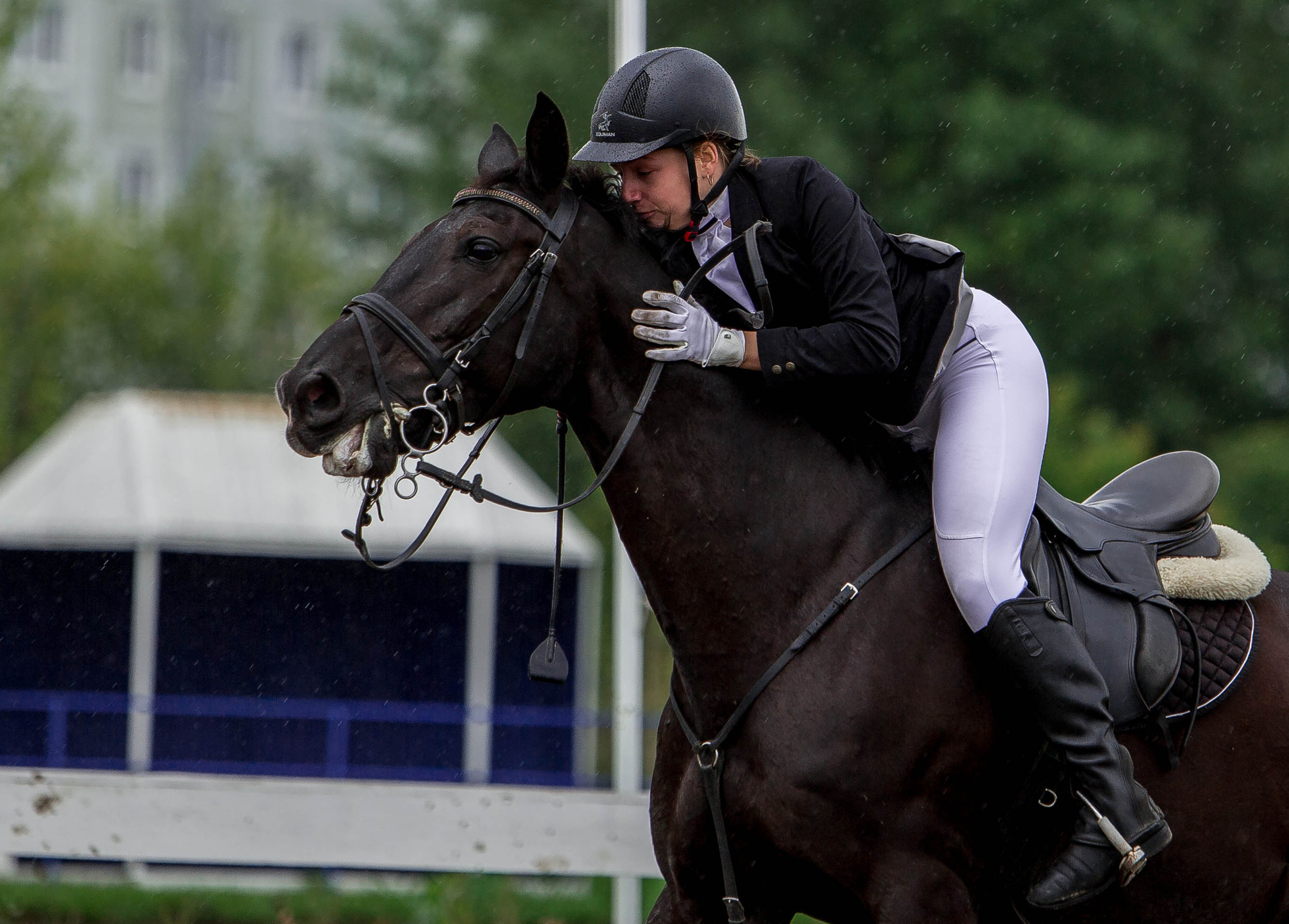 Соревнования 2022. Конный фотограф в Красноярске — Любовь Похабова