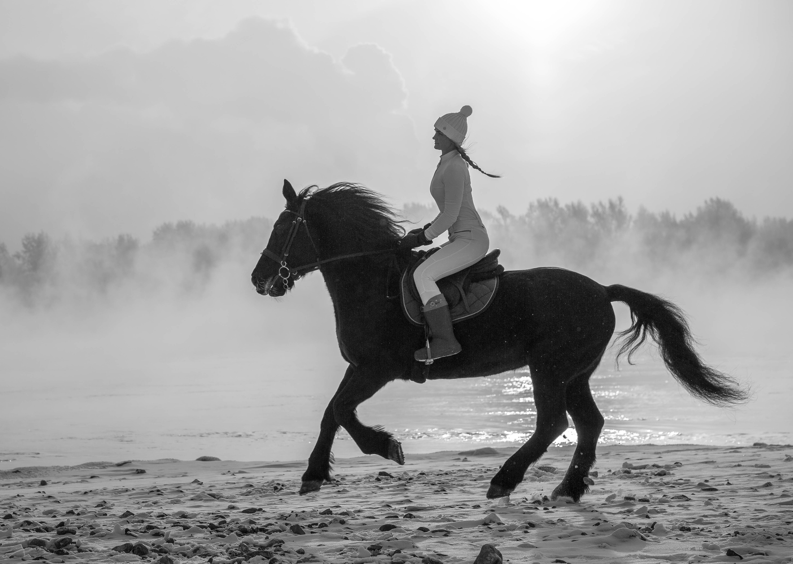 Карета 24. Конный фотограф в Красноярске — Любовь Похабова