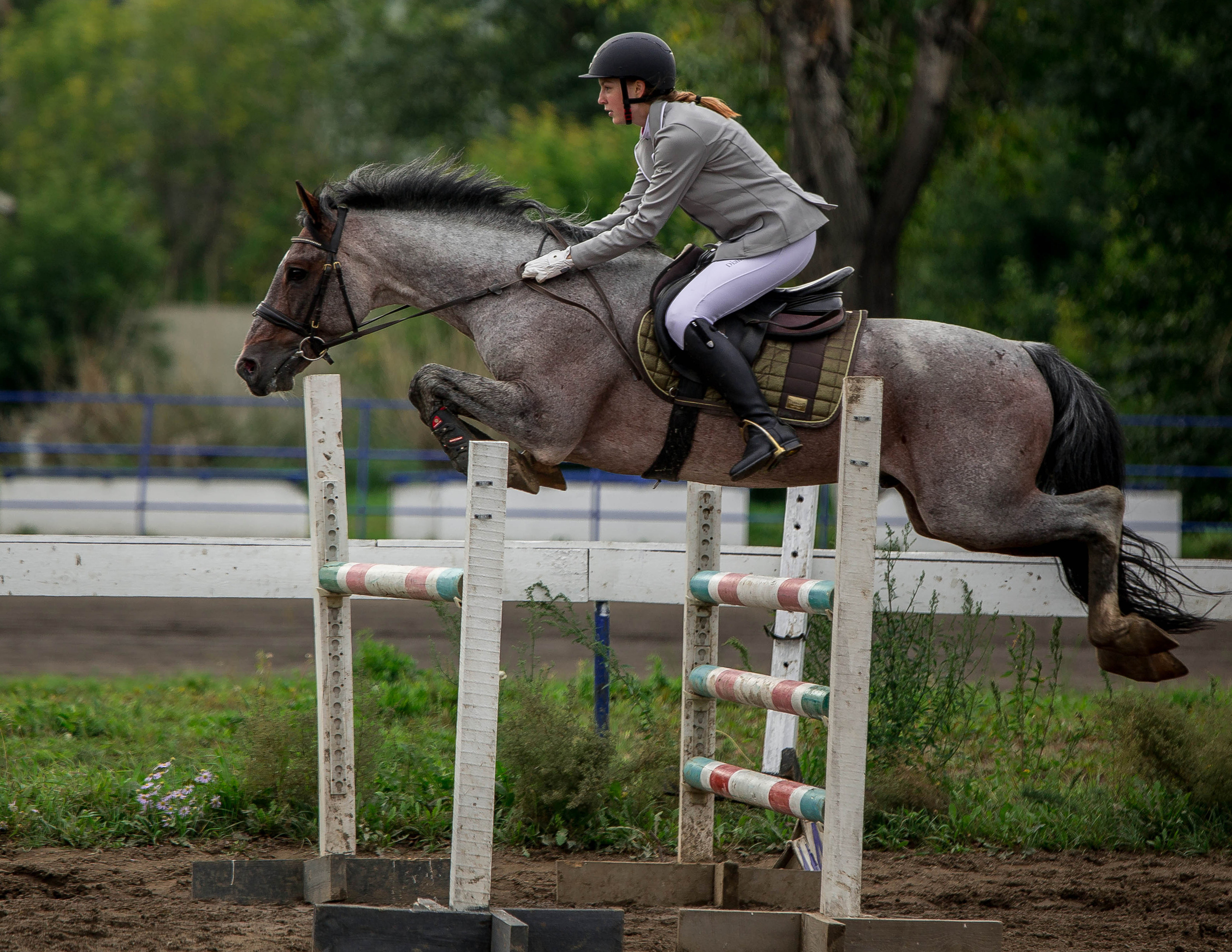 Соревнования 2022. Конный фотограф в Красноярске — Любовь Похабова