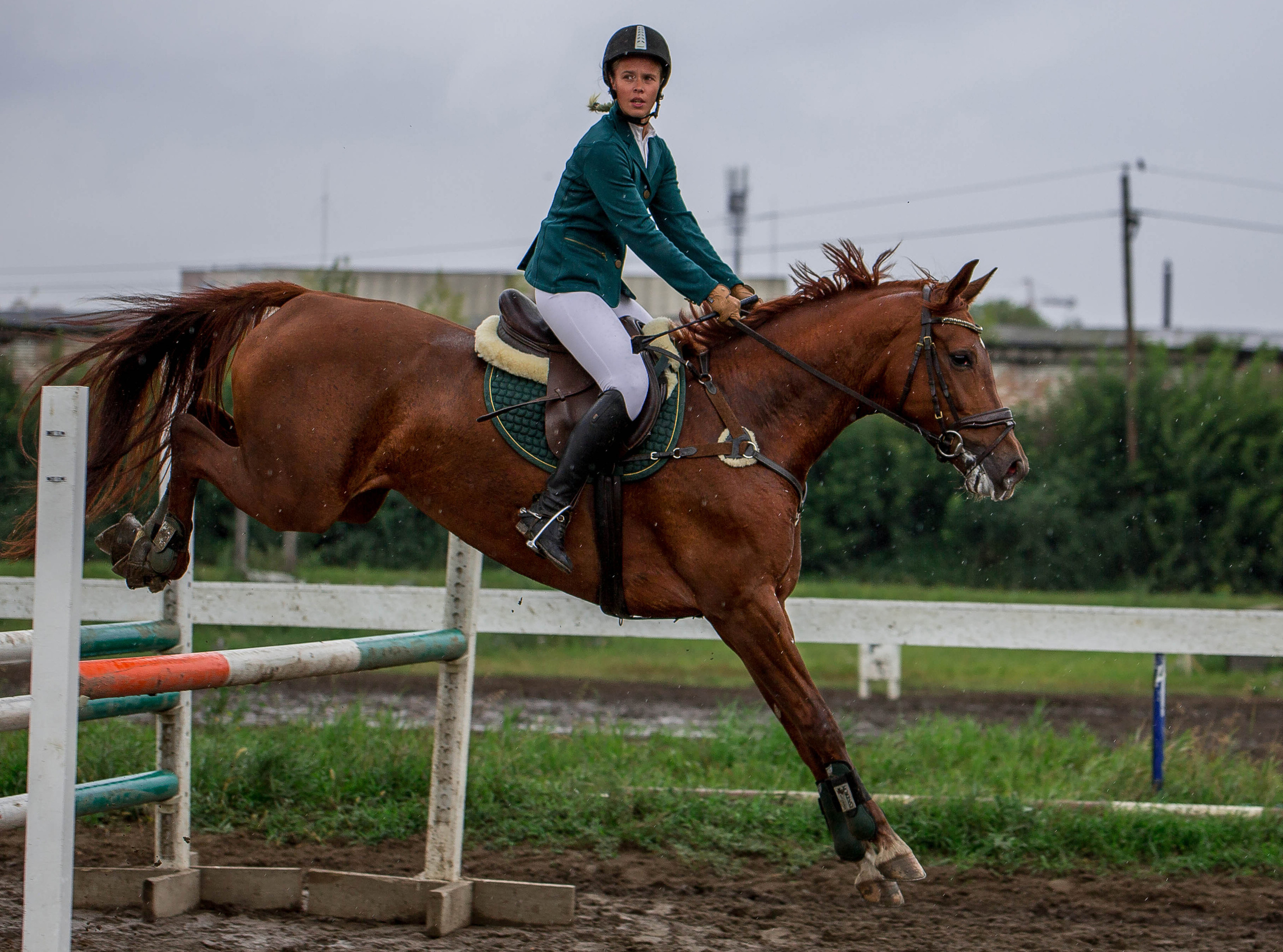 Соревнования 2022. Конный фотограф в Красноярске — Любовь Похабова